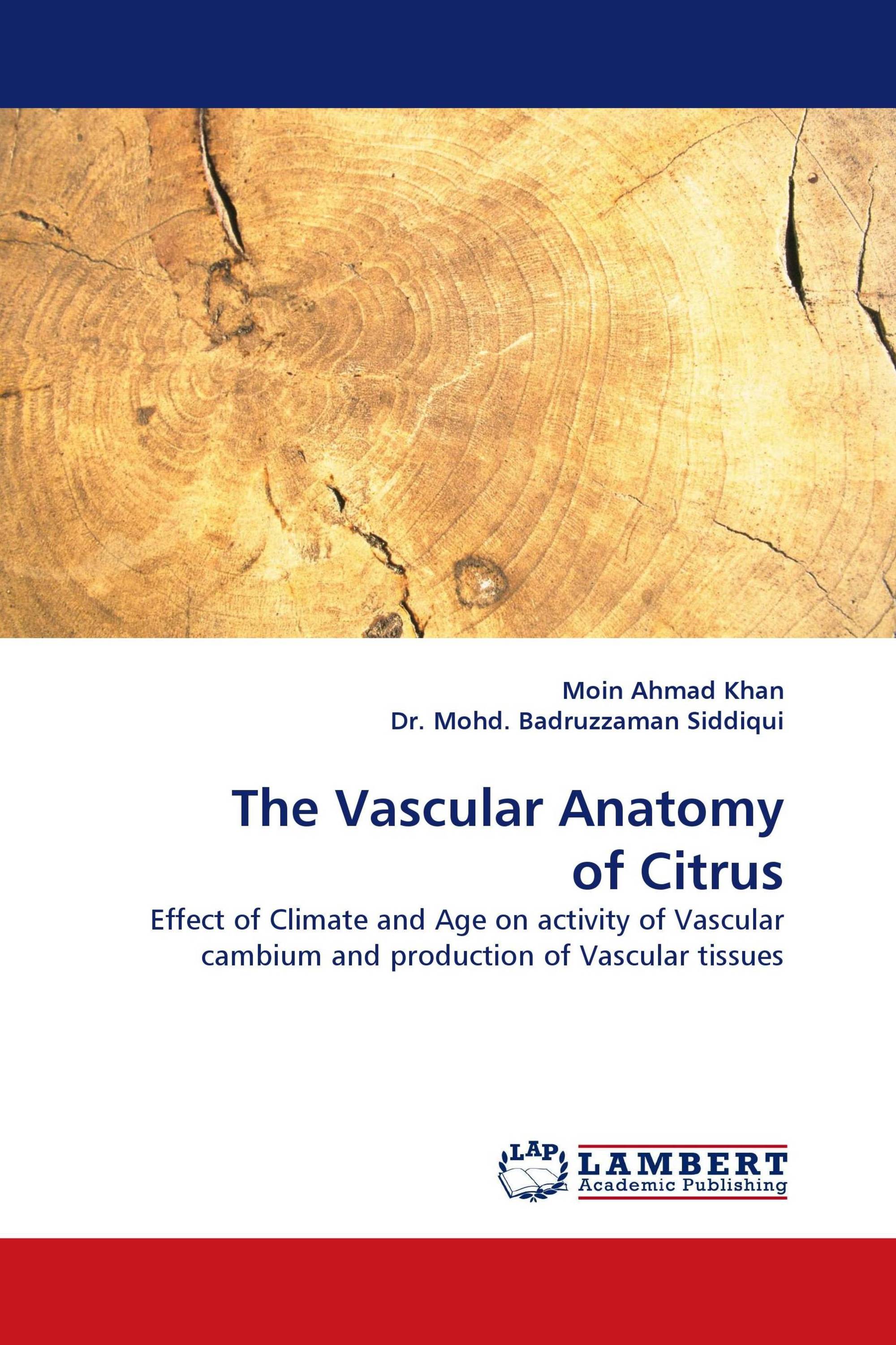 The Vascular Anatomy of Citrus