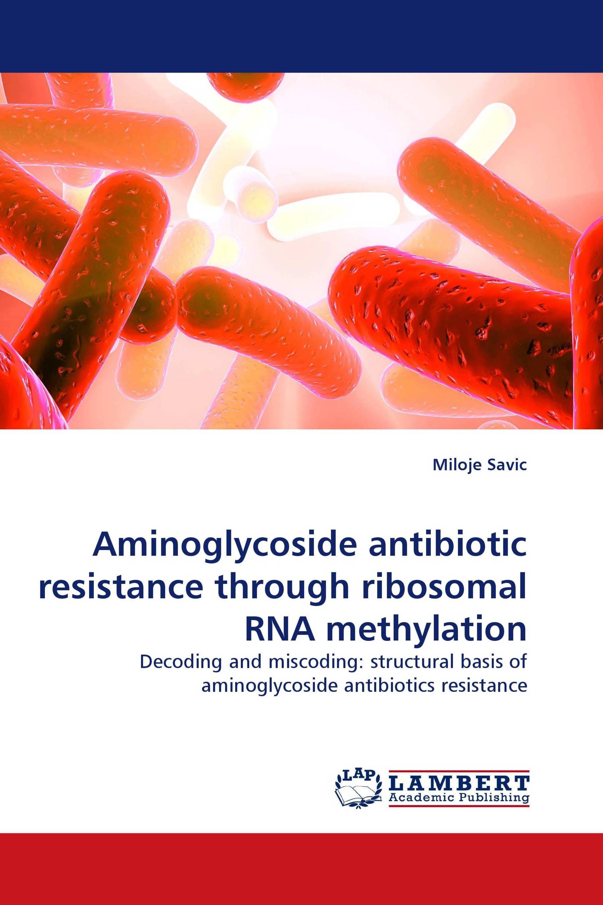 Aminoglycoside antibiotic resistance through ribosomal RNA methylation