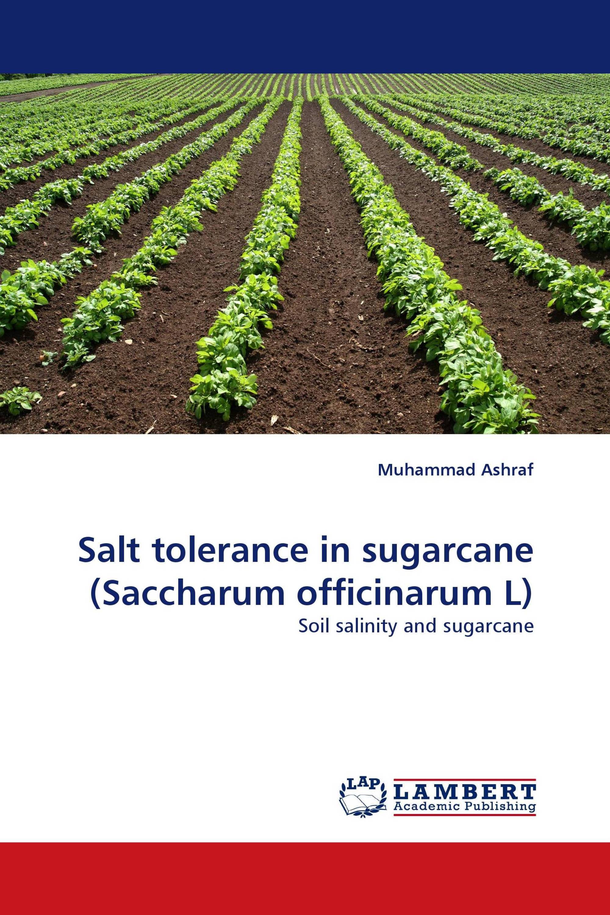 Salt tolerance in sugarcane (Saccharum officinarum L)