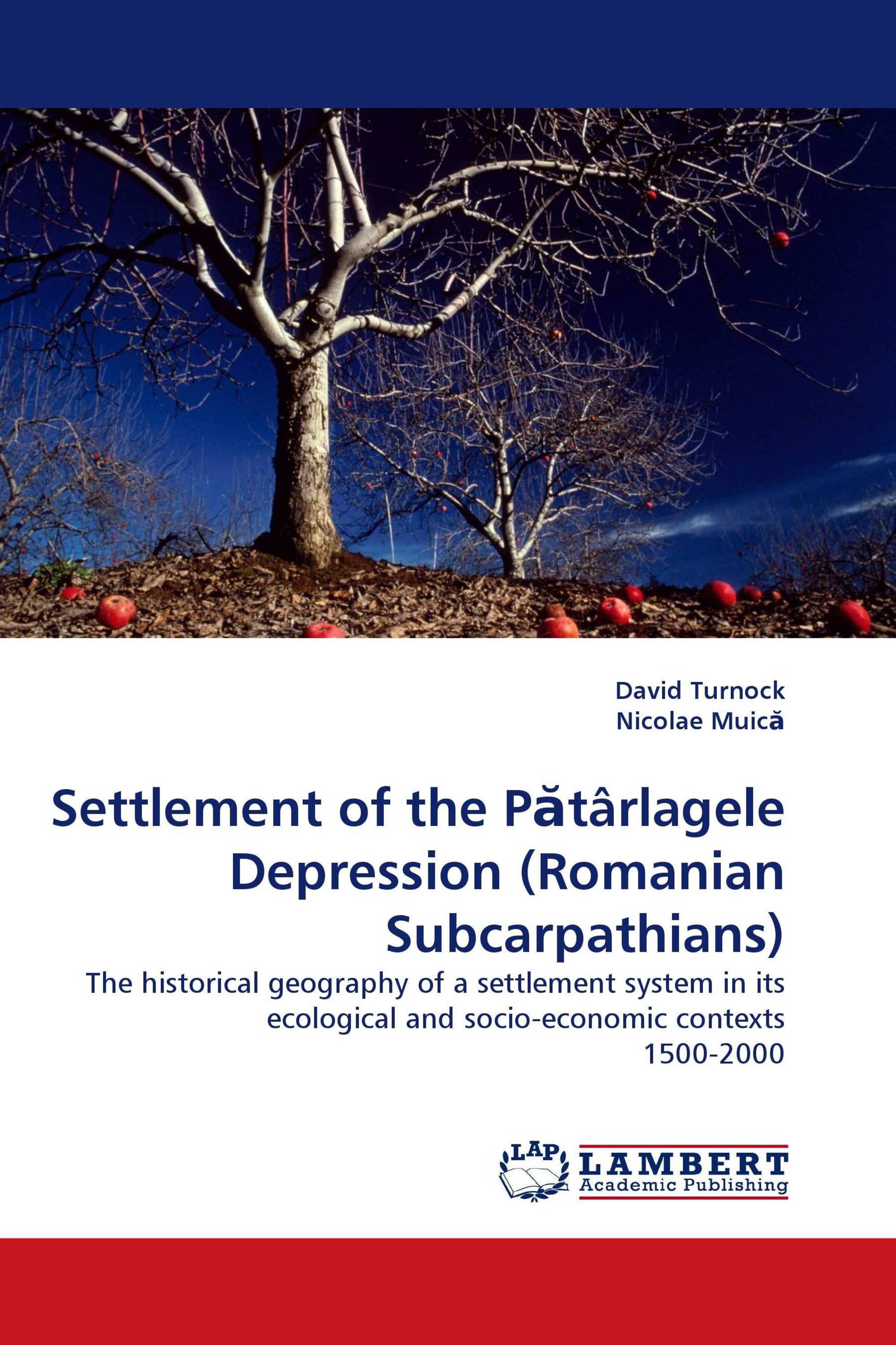 Settlement of the Pătârlagele Depression (Romanian Subcarpathians)