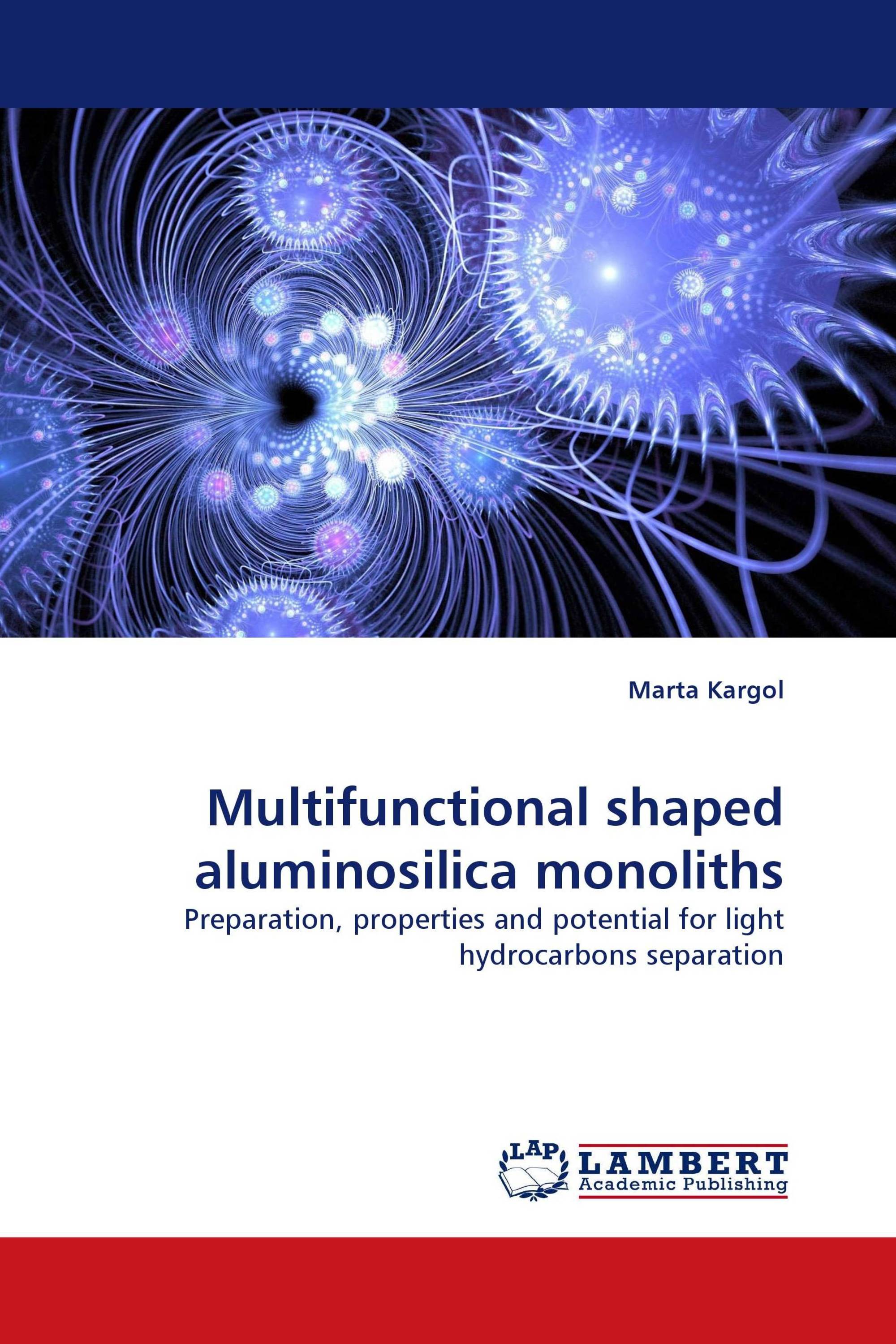 Multifunctional shaped aluminosilica monoliths