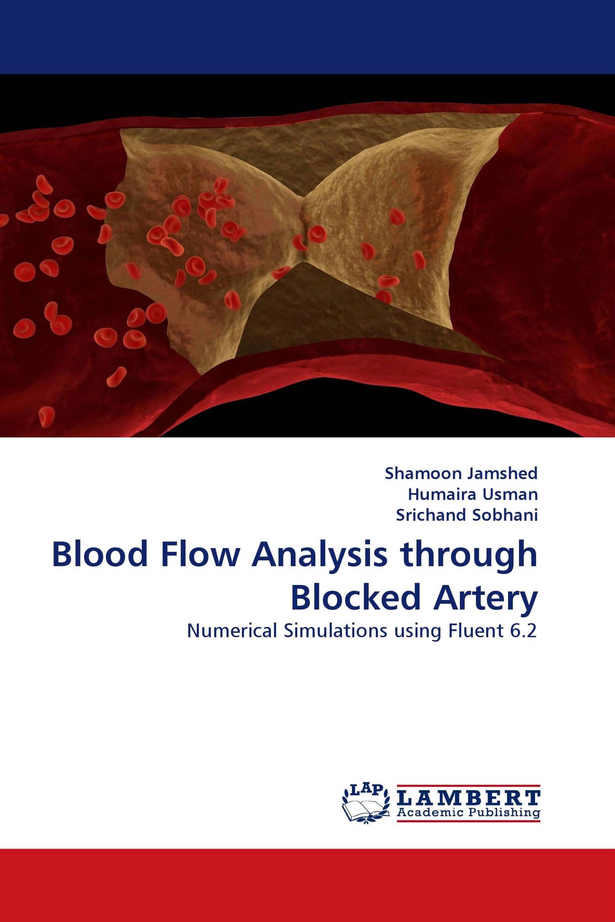 Blood Flow Analysis through Blocked Artery