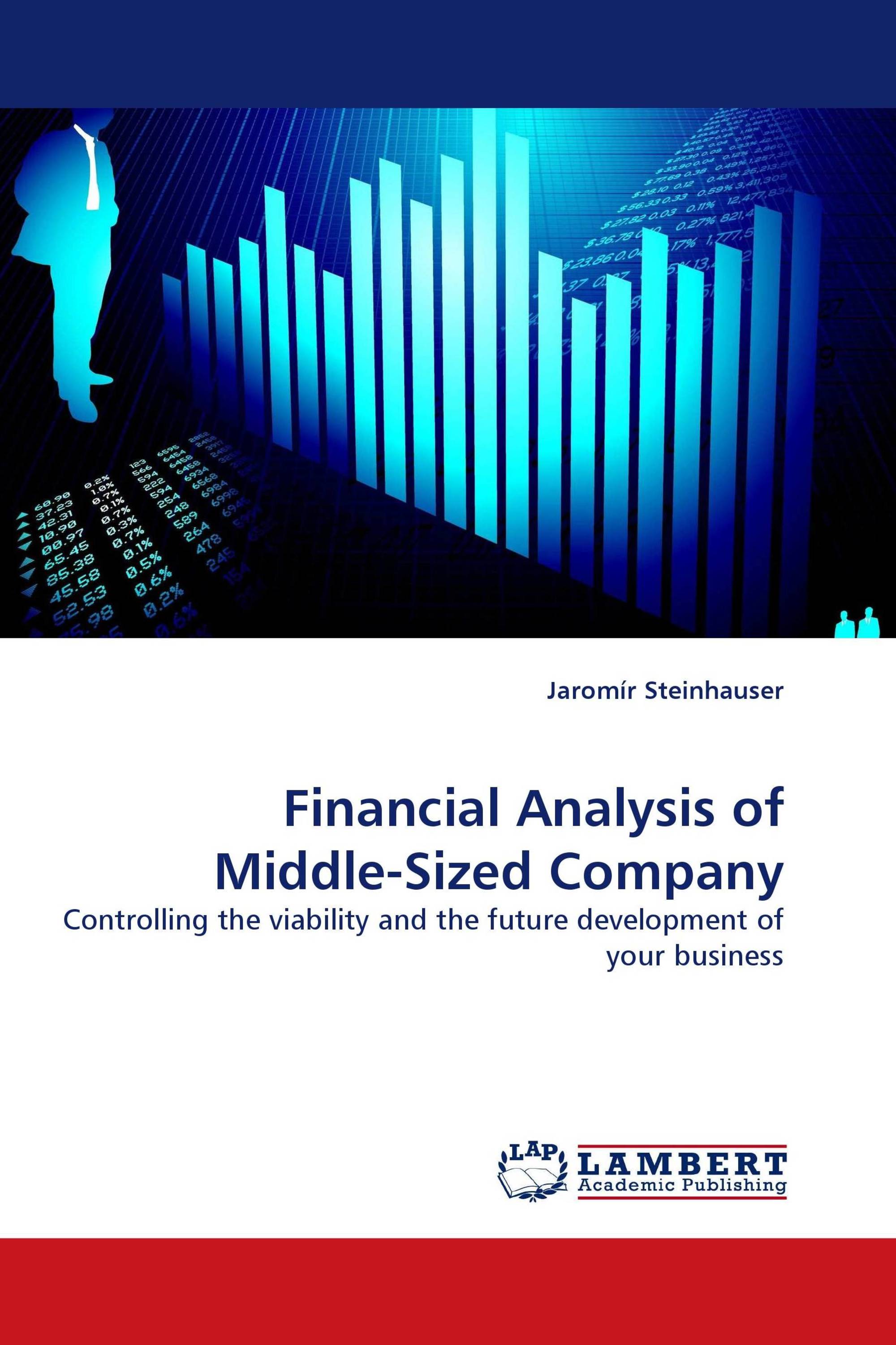 Financial Analysis of Middle-Sized Company