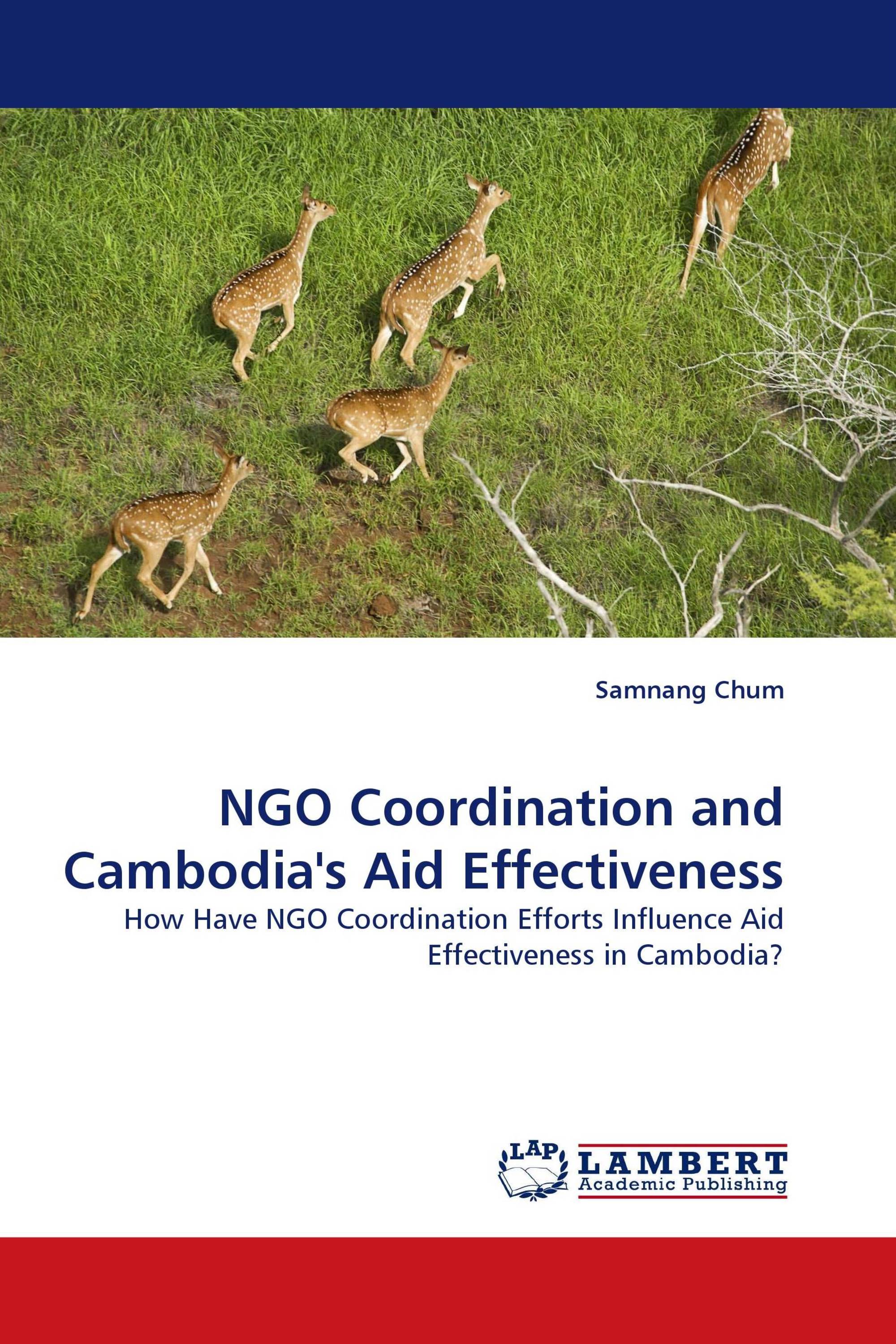 NGO Coordination and Cambodia''s Aid Effectiveness