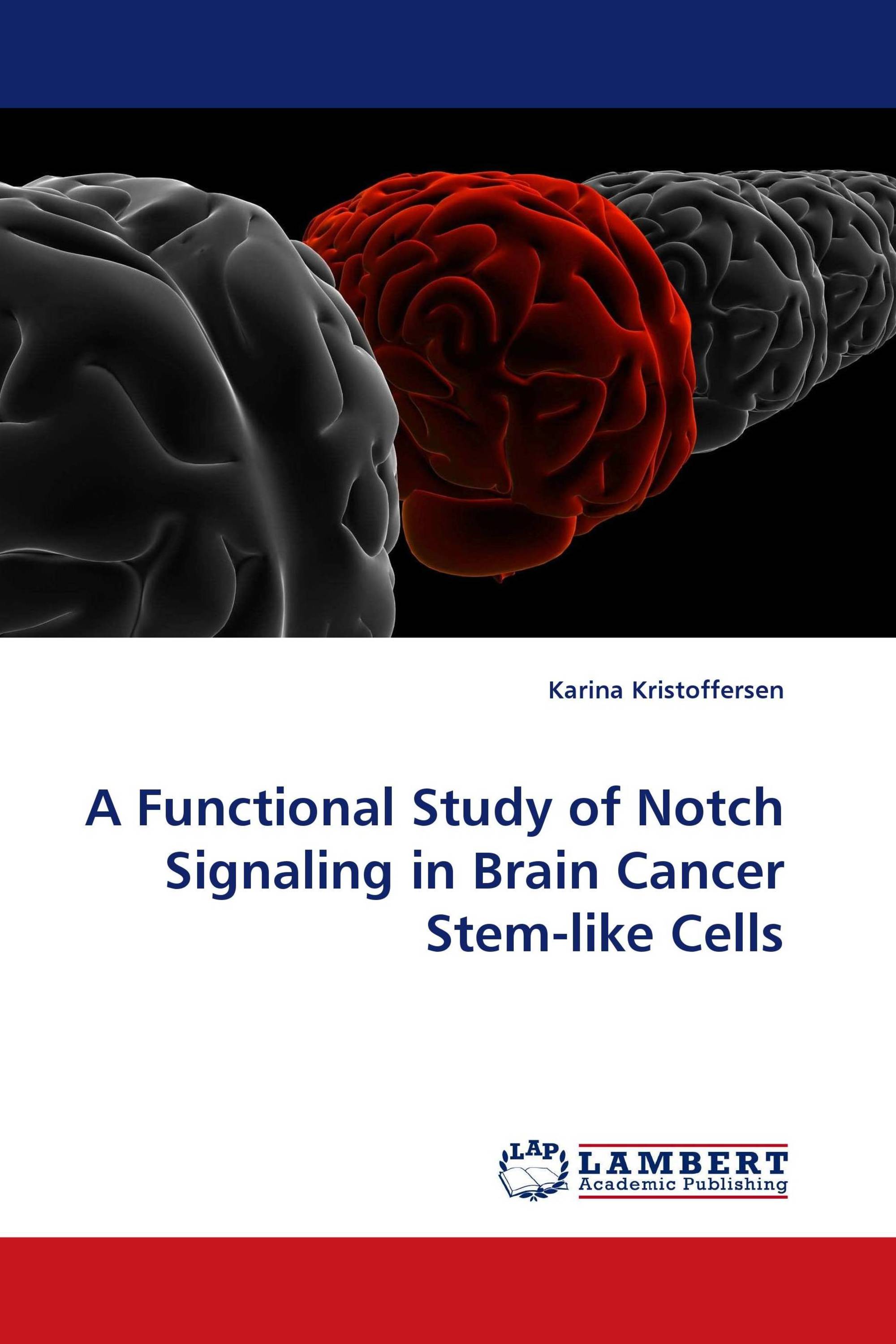 A Functional Study of Notch Signaling in Brain Cancer Stem-like Cells