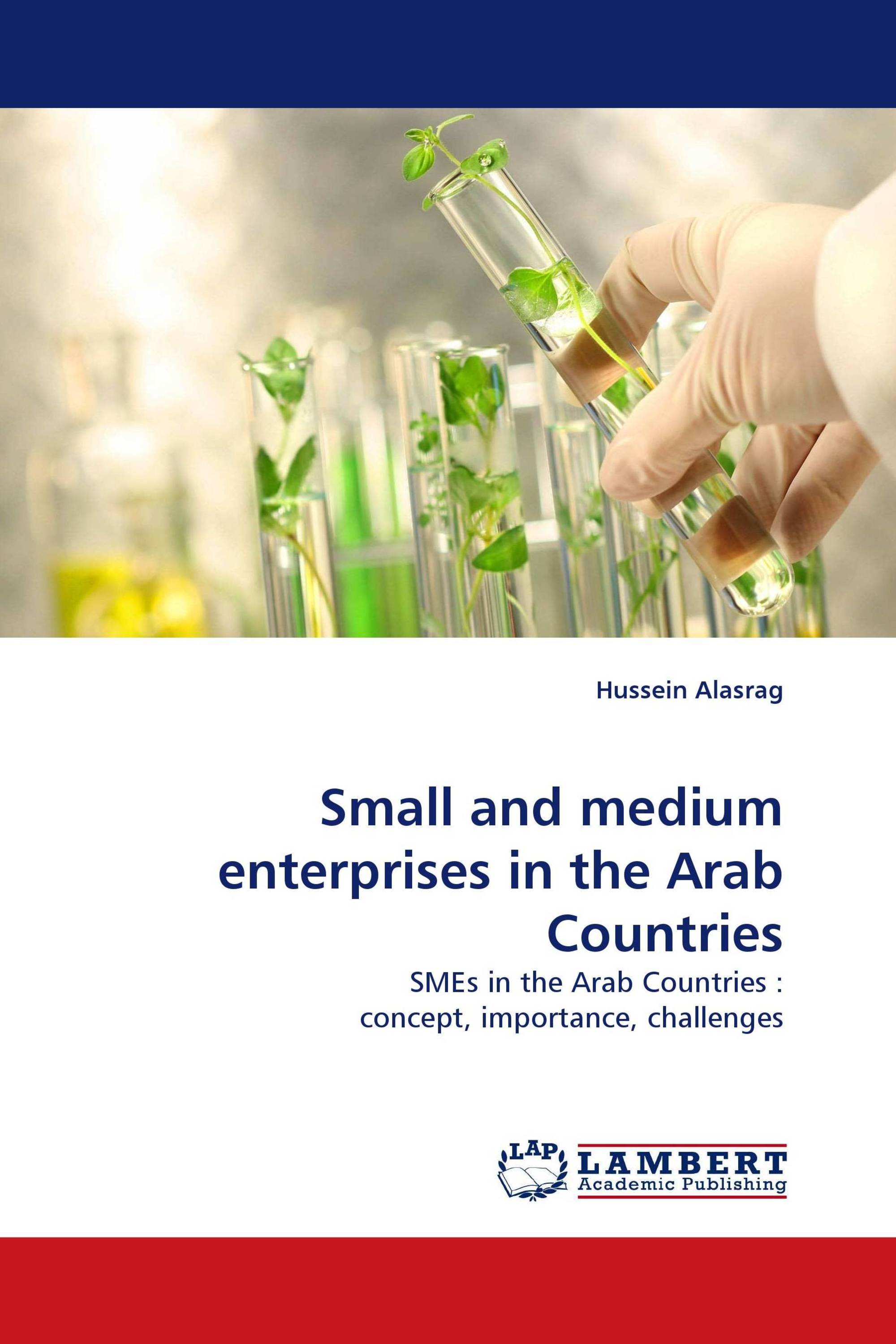 Small and medium enterprises in the Arab Countries