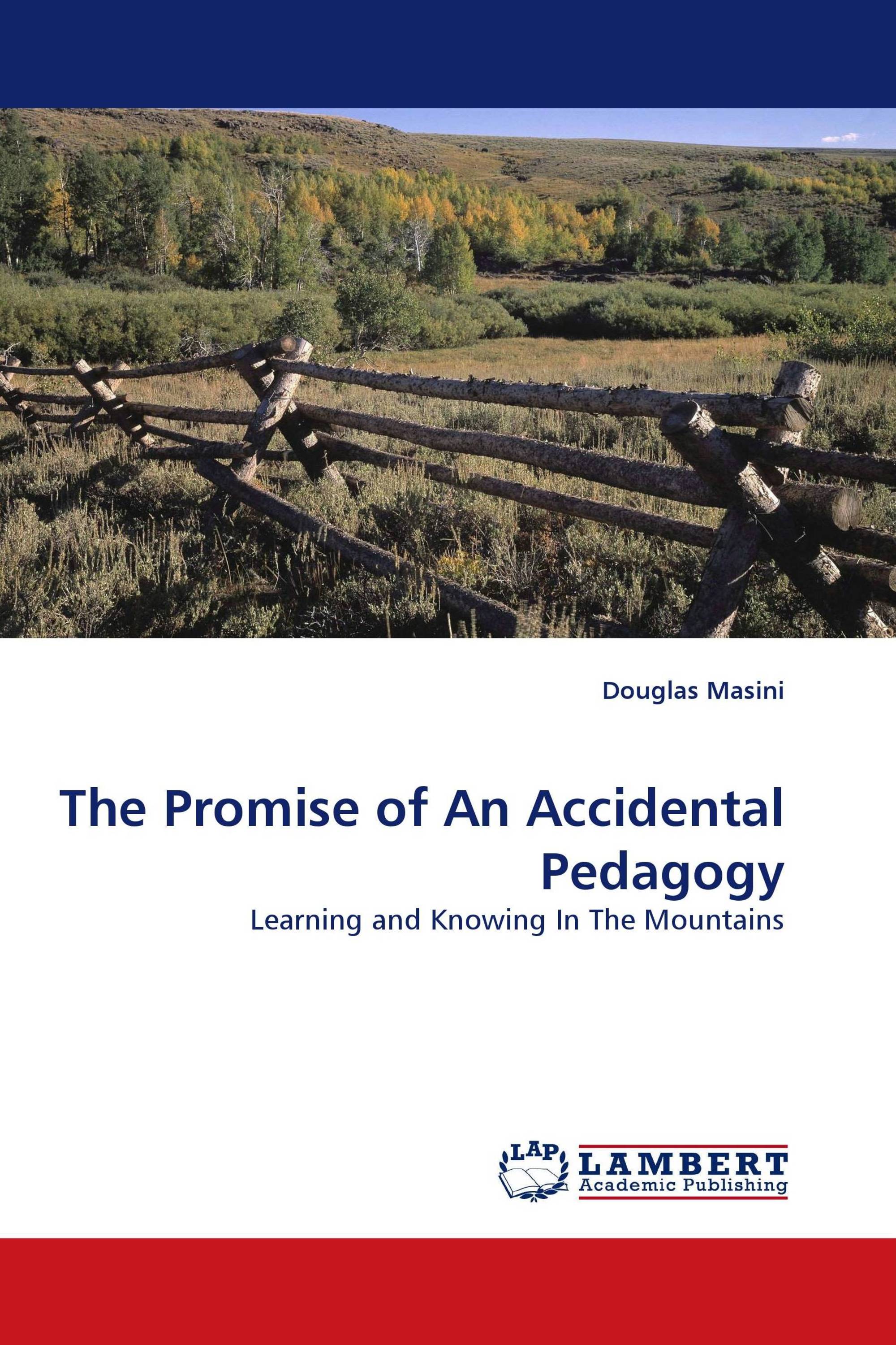 The Promise of An Accidental Pedagogy