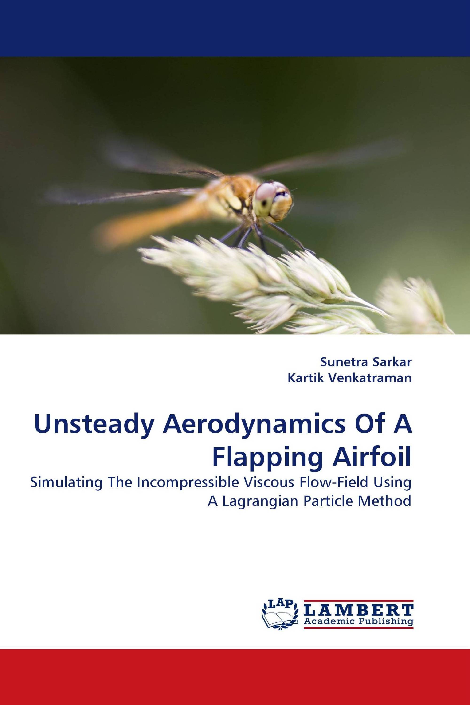 Unsteady Aerodynamics Of A Flapping Airfoil