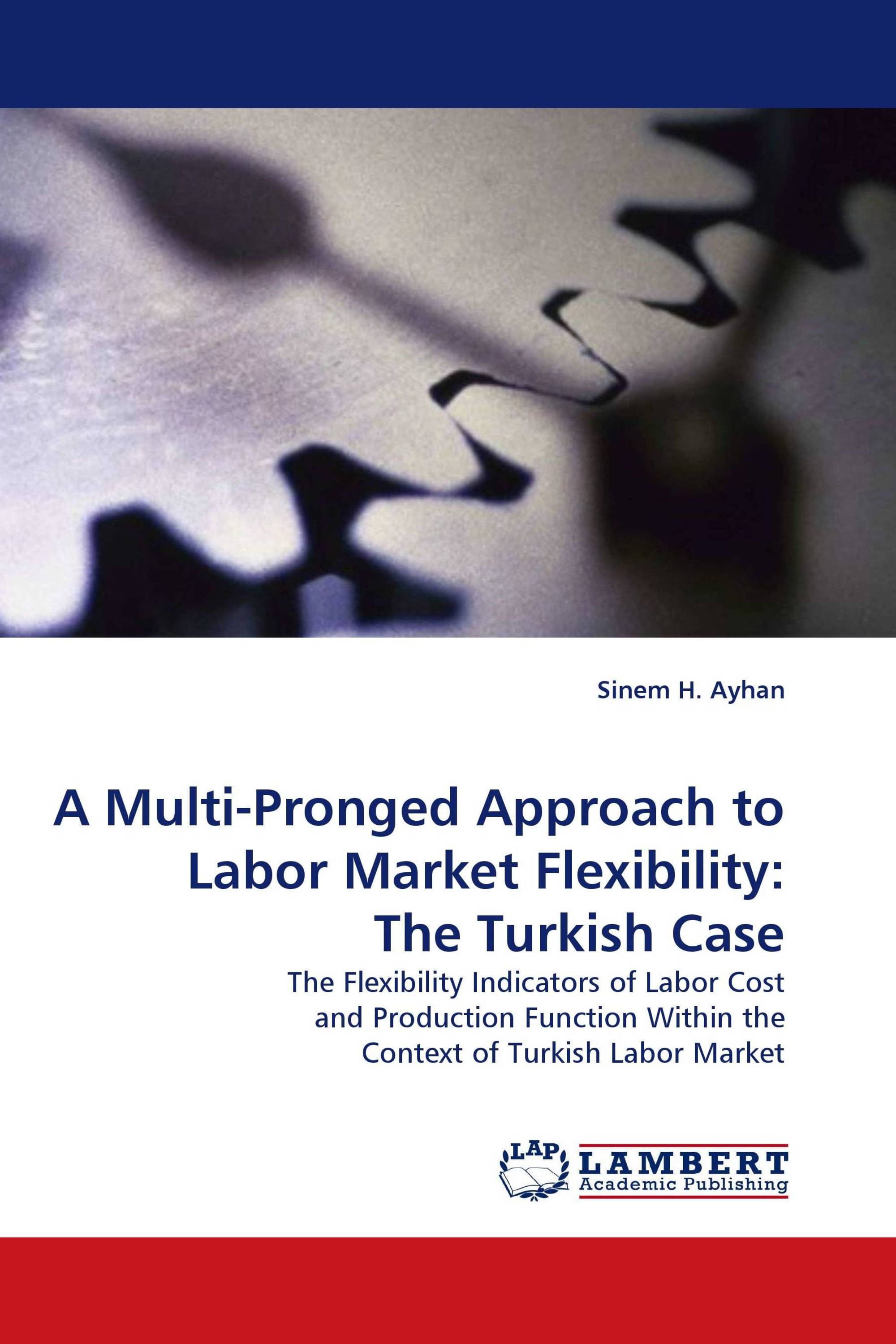 A Multi-Pronged Approach to Labor Market Flexibility: The Turkish Case