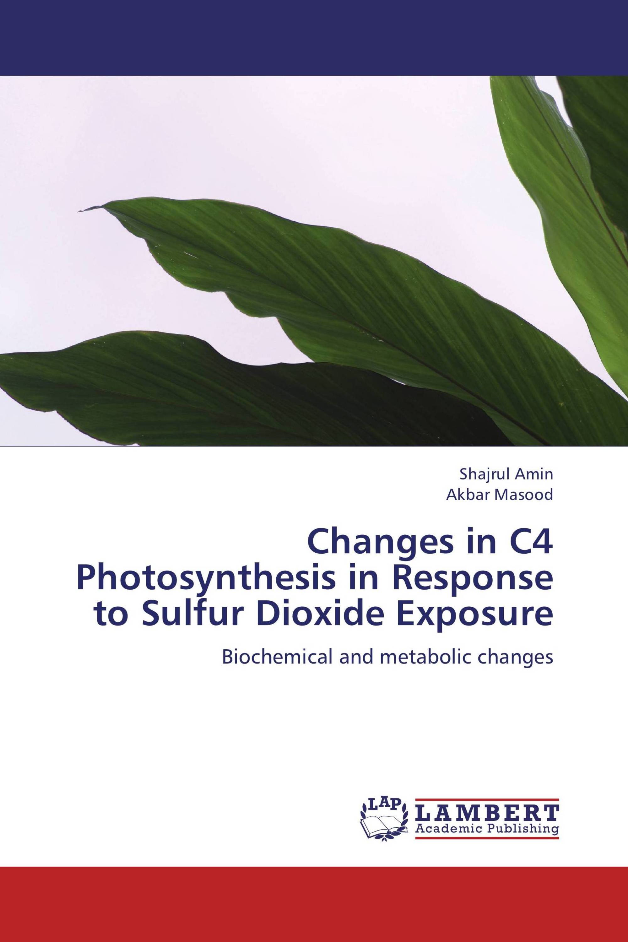 Changes in C4 Photosynthesis in Response to Sulfur Dioxide Exposure