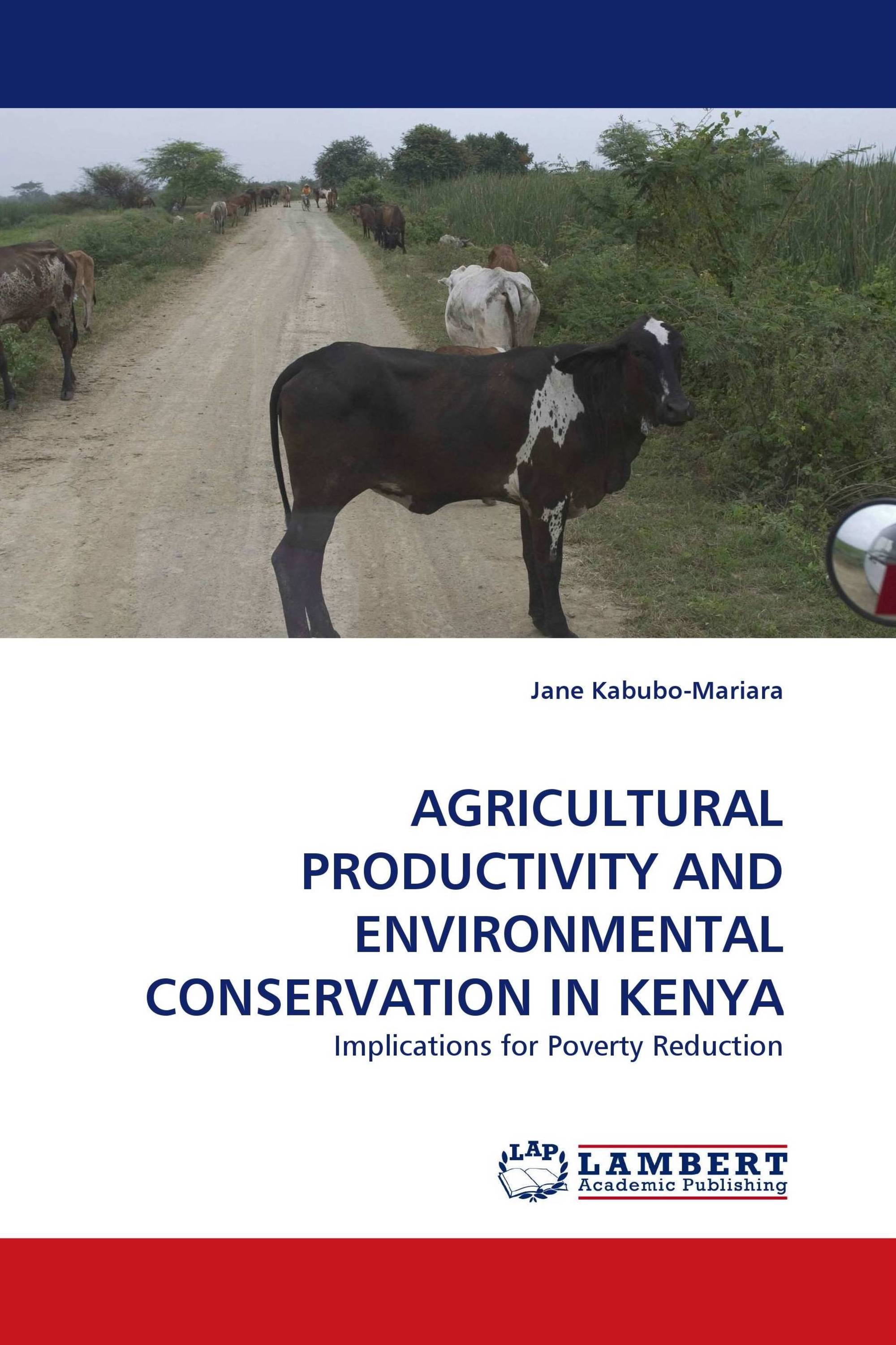 AGRICULTURAL PRODUCTIVITY AND ENVIRONMENTAL CONSERVATION IN KENYA