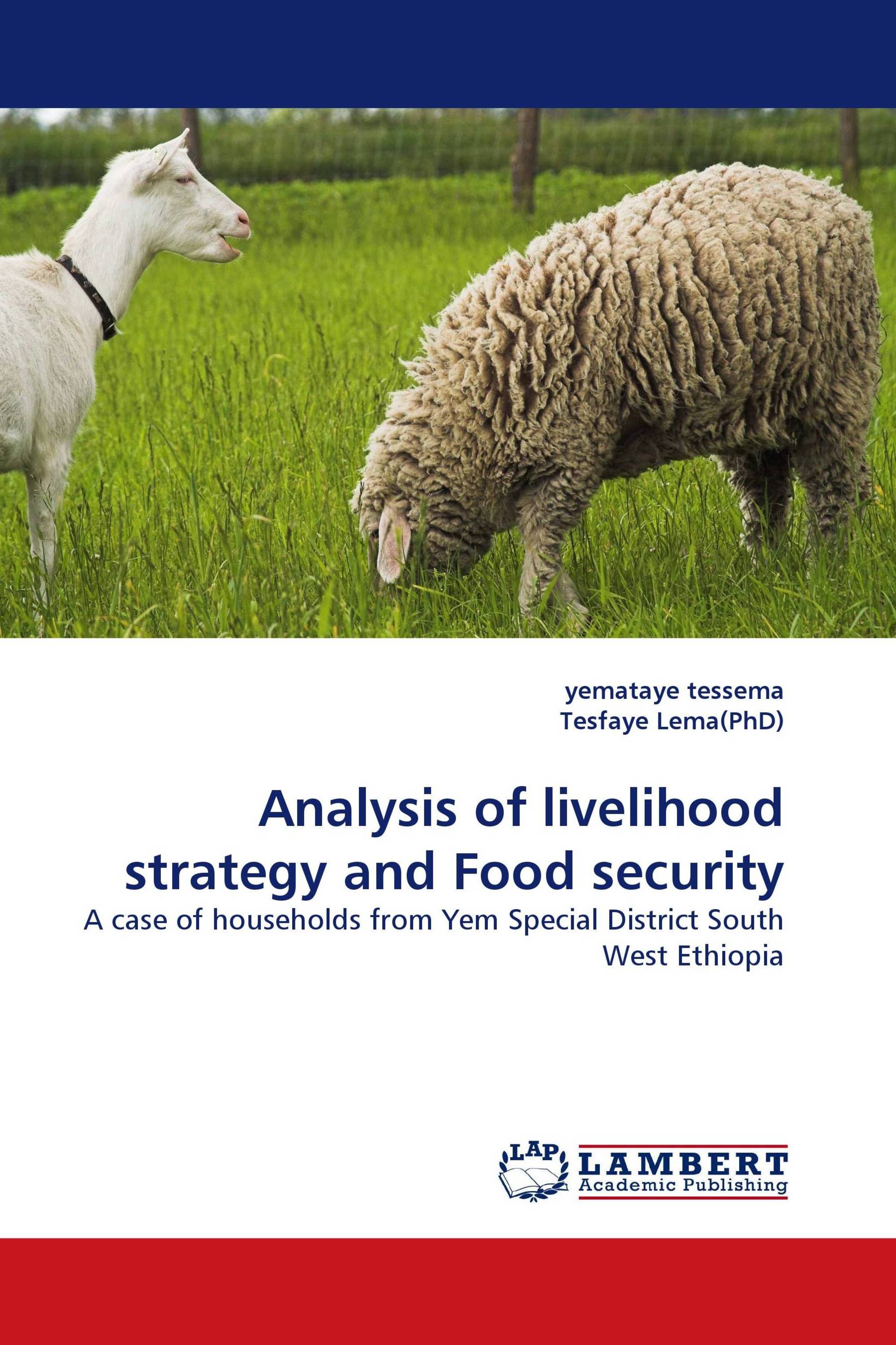 Analysis of livelihood strategy and Food security