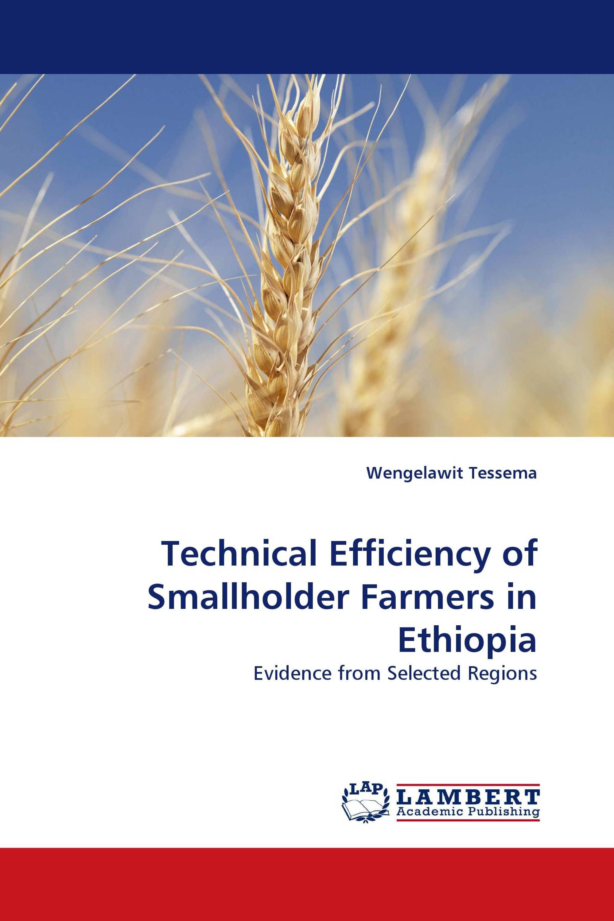 Technical Efficiency of Smallholder Farmers in Ethiopia