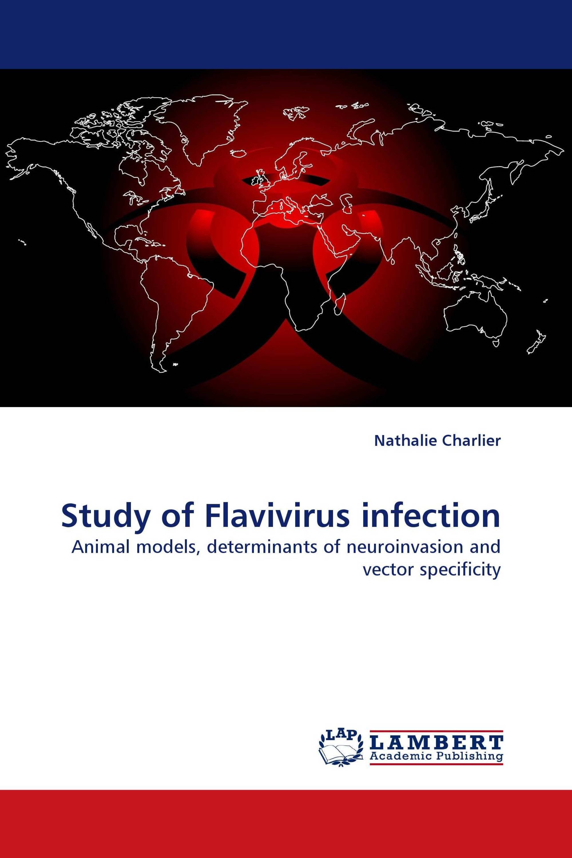 Study of Flavivirus infection