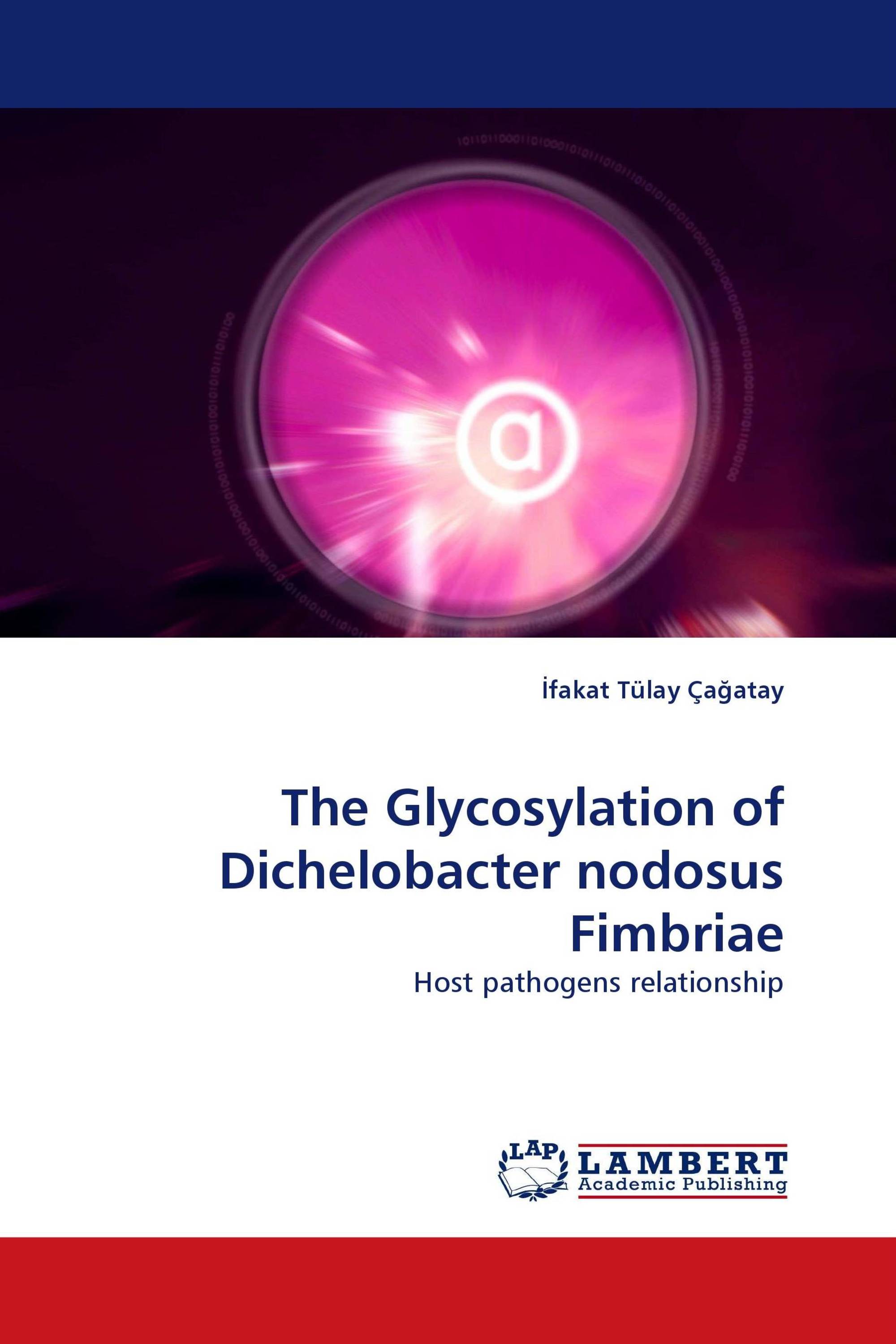 The Glycosylation of Dichelobacter nodosus Fimbriae