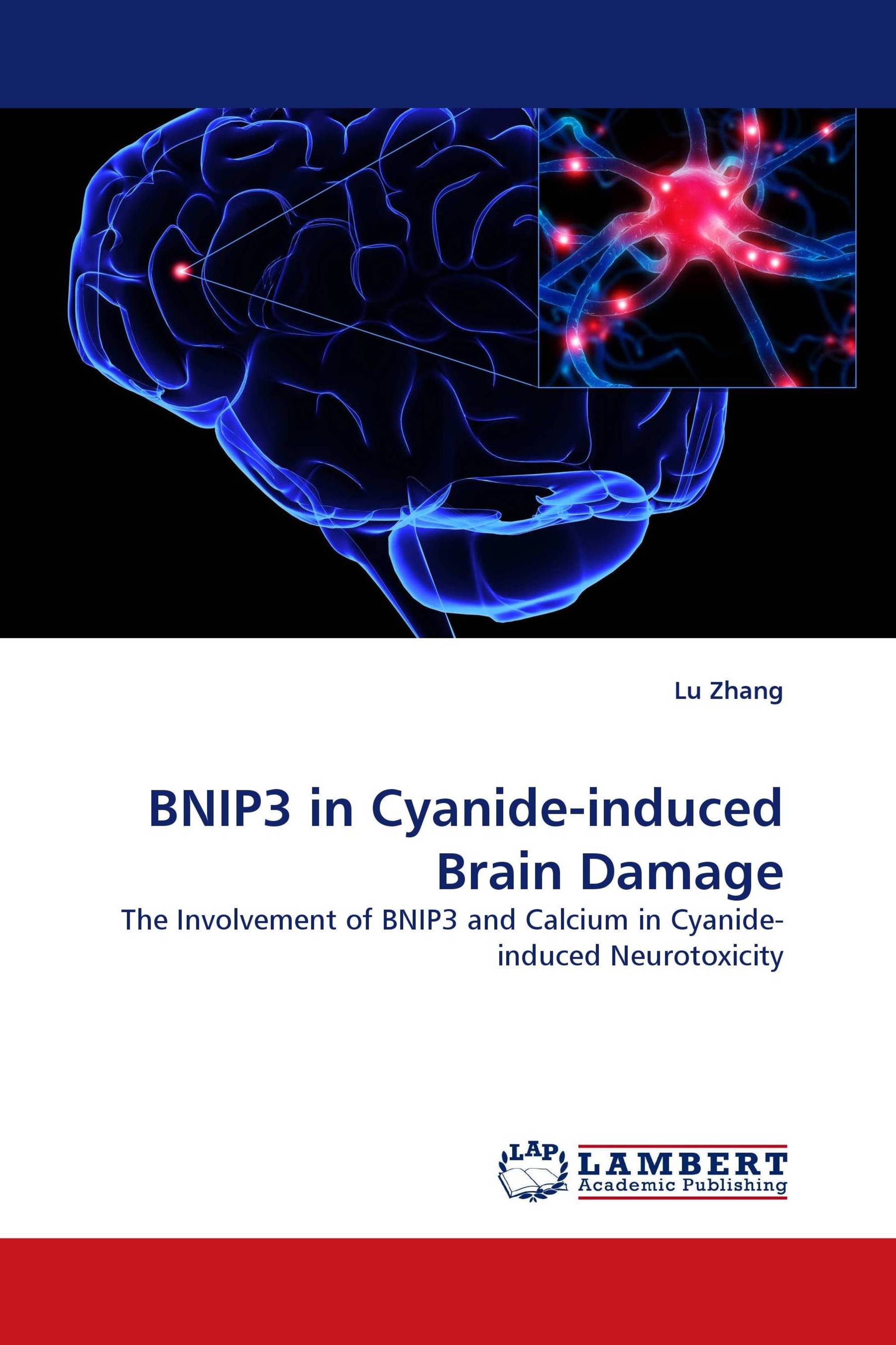 BNIP3 in Cyanide-induced Brain Damage