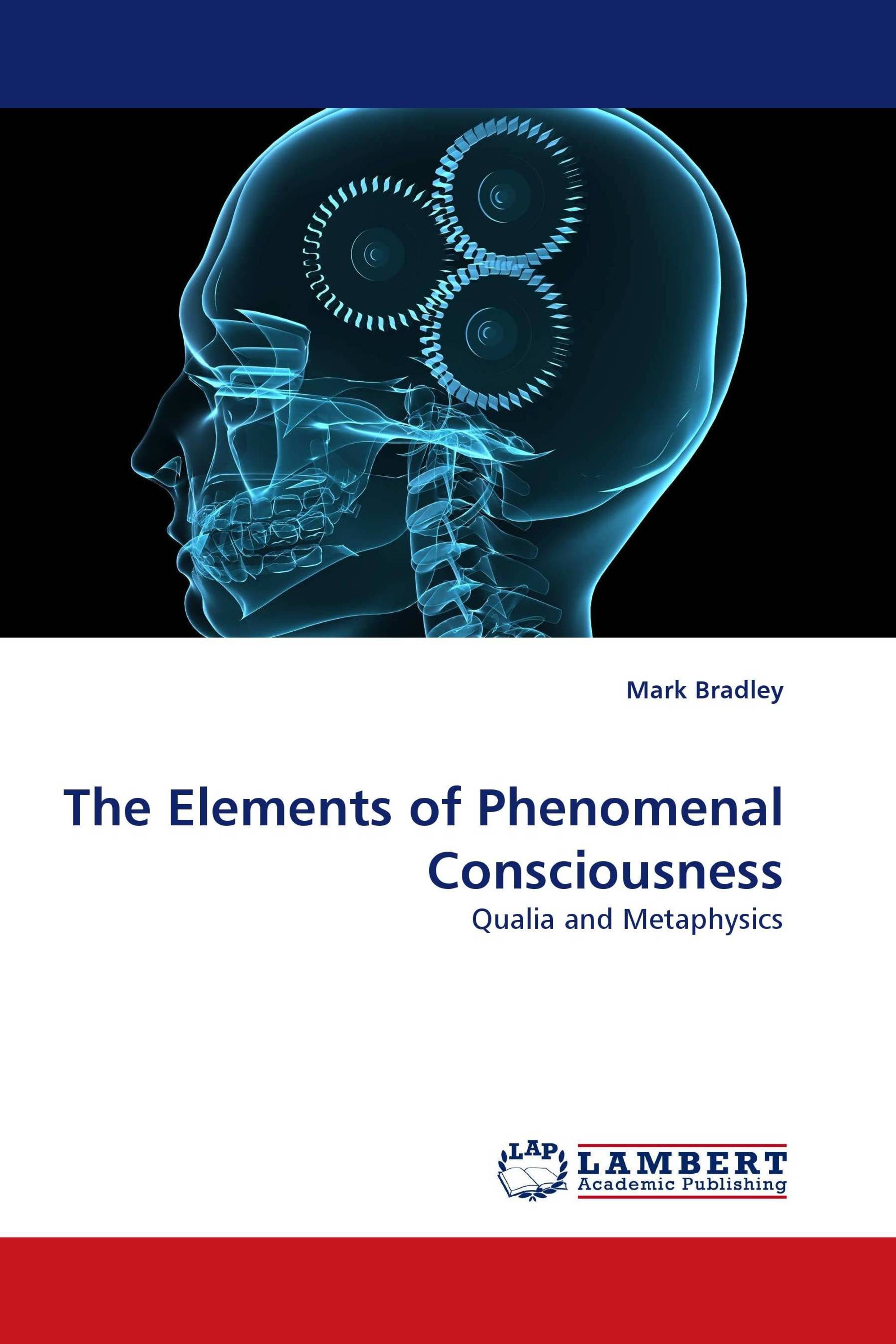 The Elements of Phenomenal Consciousness