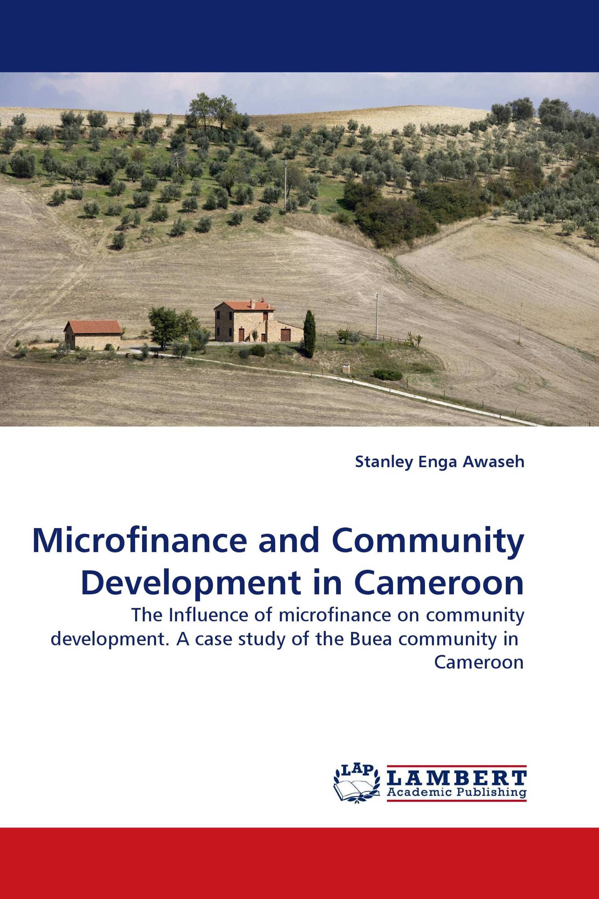 Microfinance and Community Development in Cameroon