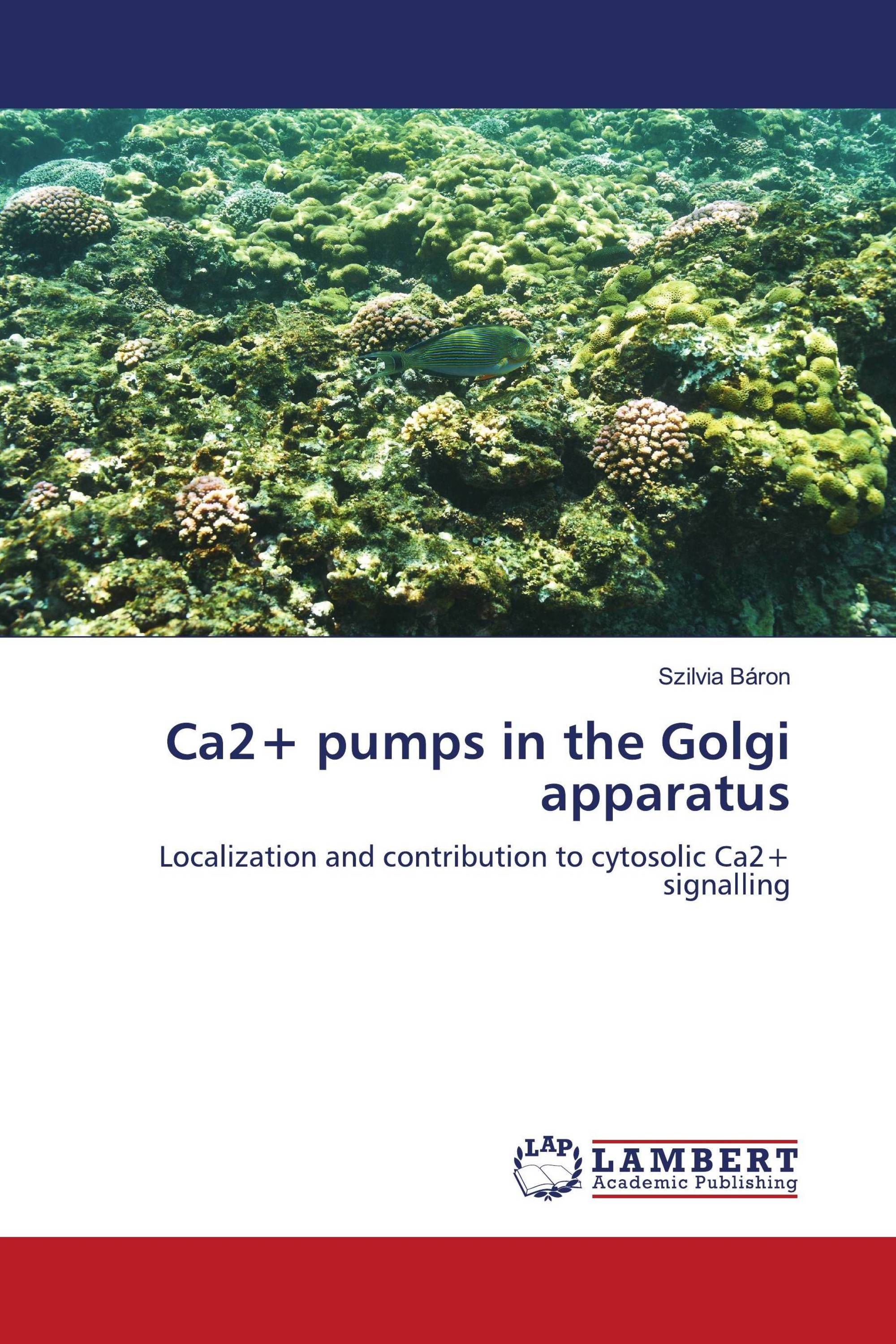 Ca2+ pumps in the Golgi apparatus