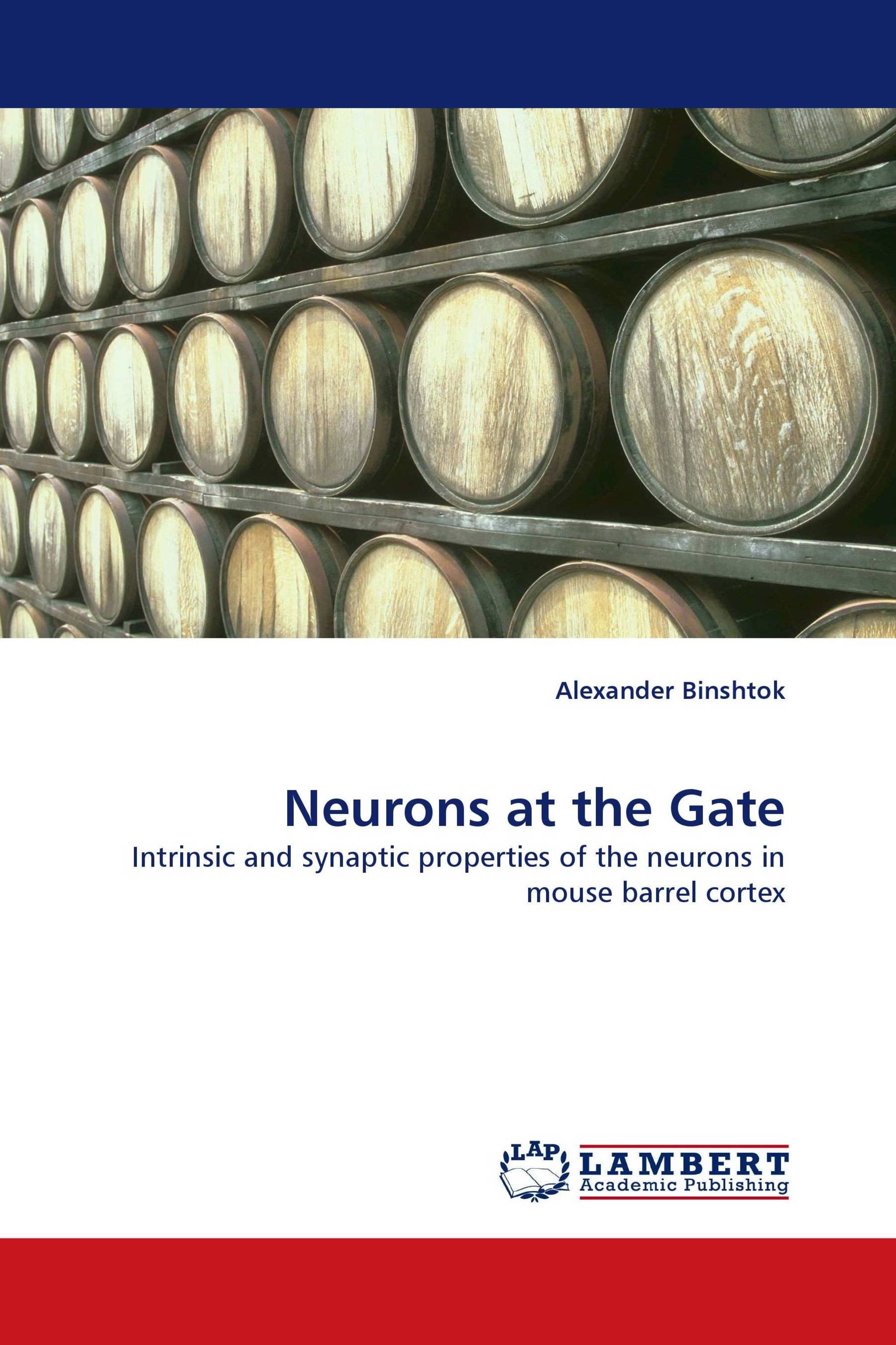 Neurons at the Gate