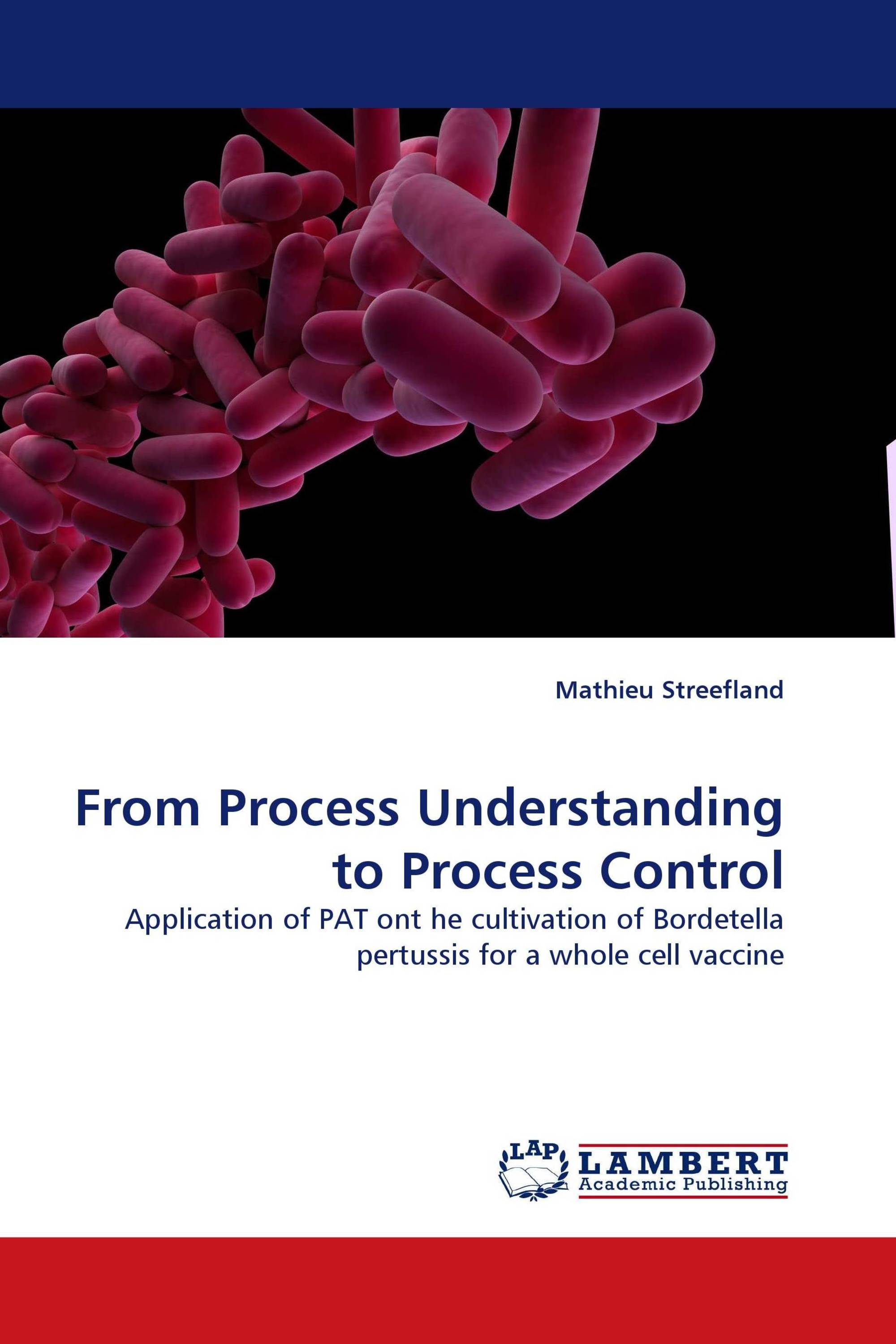 From Process Understanding to Process Control