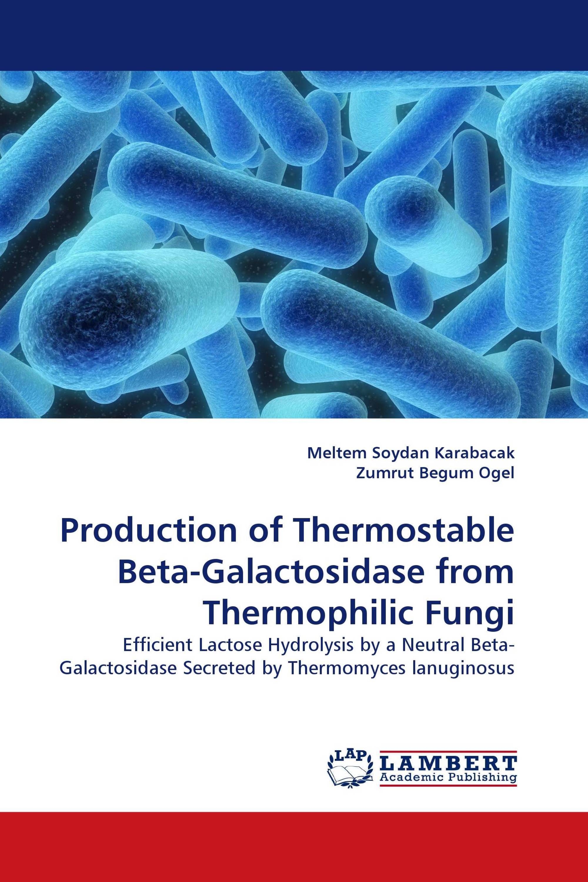 Production of Thermostable Beta-Galactosidase from Thermophilic Fungi