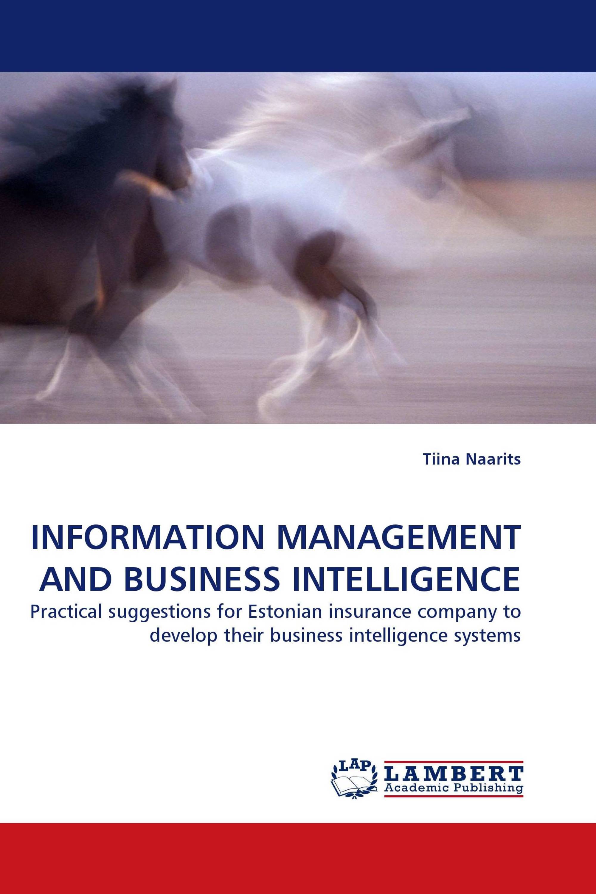 INFORMATION MANAGEMENT AND BUSINESS INTELLIGENCE