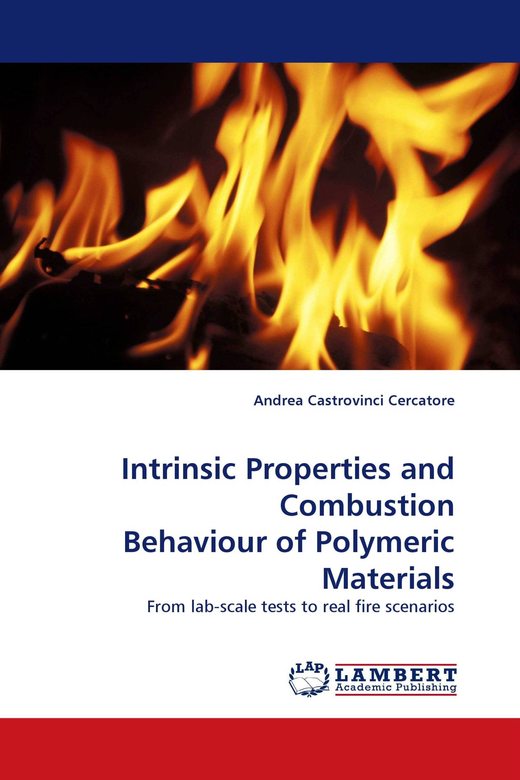 Intrinsic Properties and Combustion Behaviour of Polymeric Materials