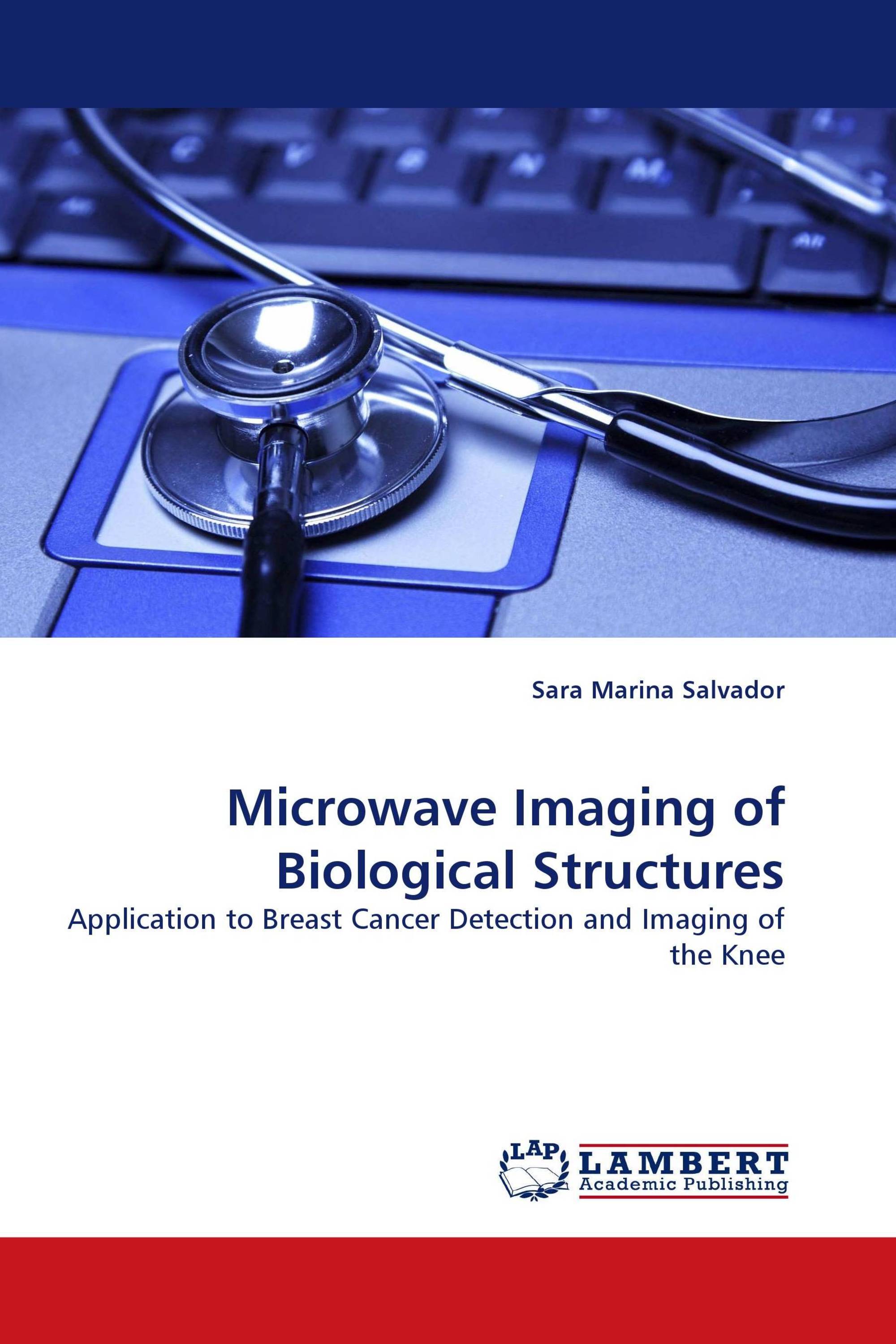 Microwave Imaging of Biological Structures