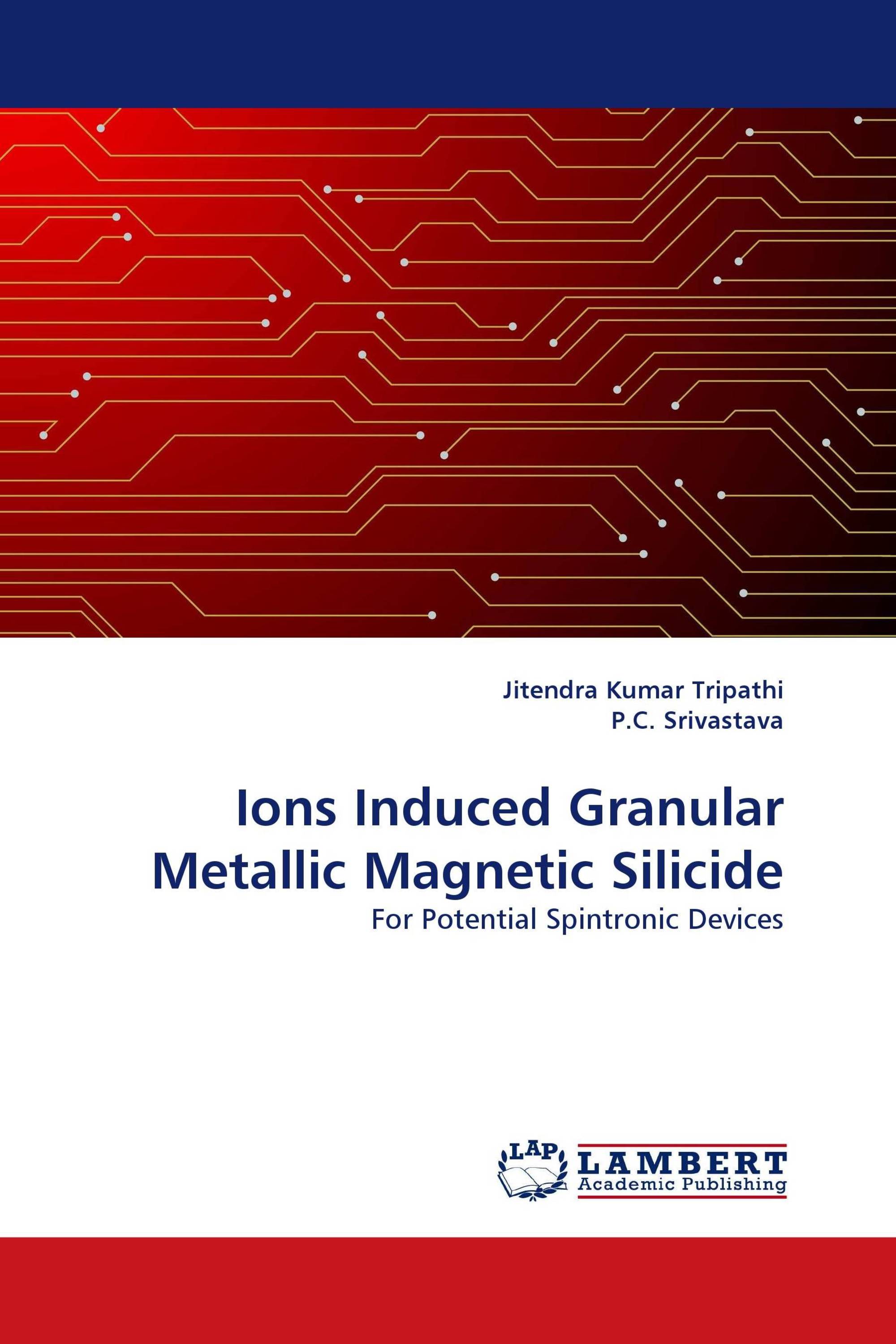 Ions Induced Granular Metallic Magnetic Silicide