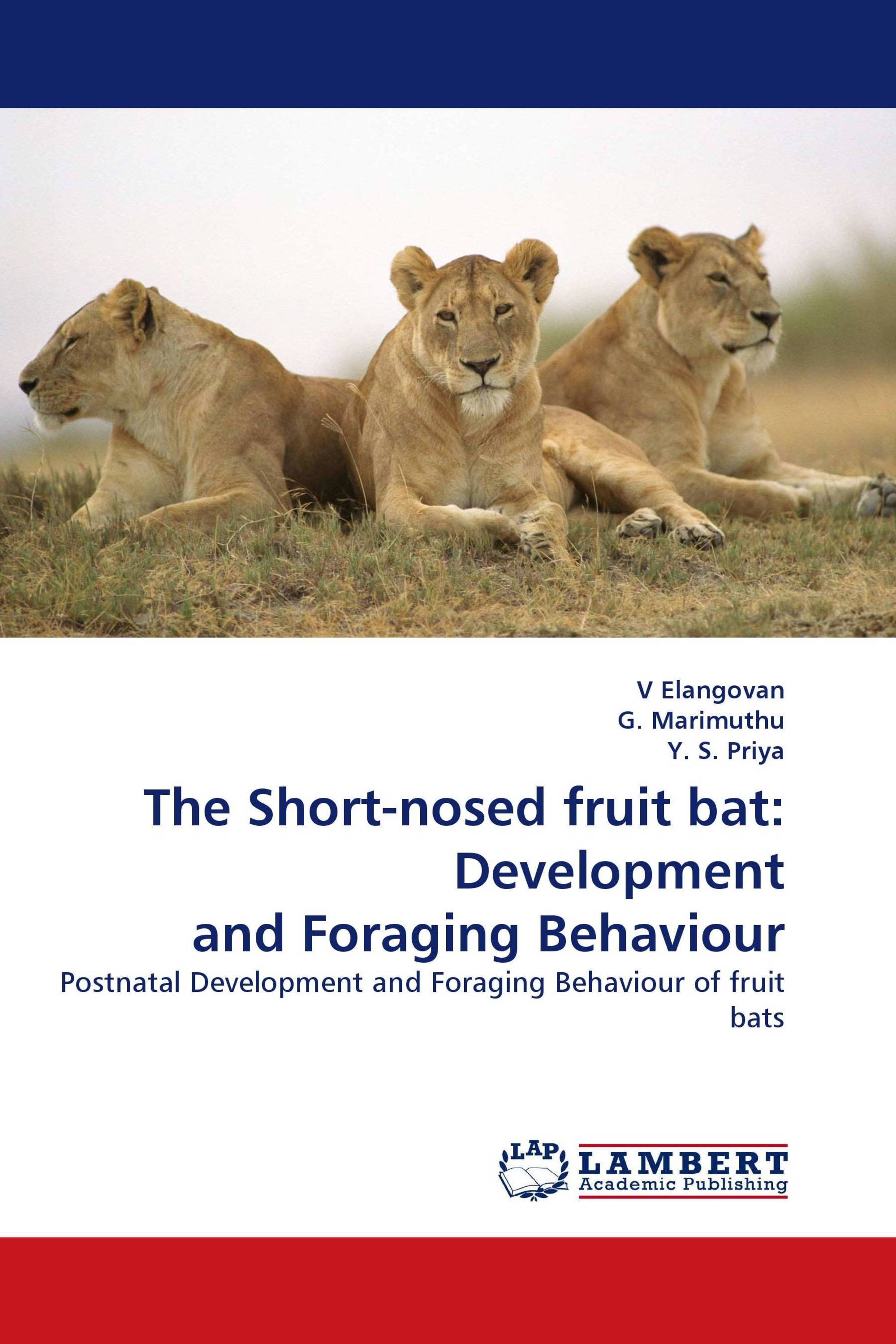 The Short-nosed fruit bat: Development and Foraging Behaviour