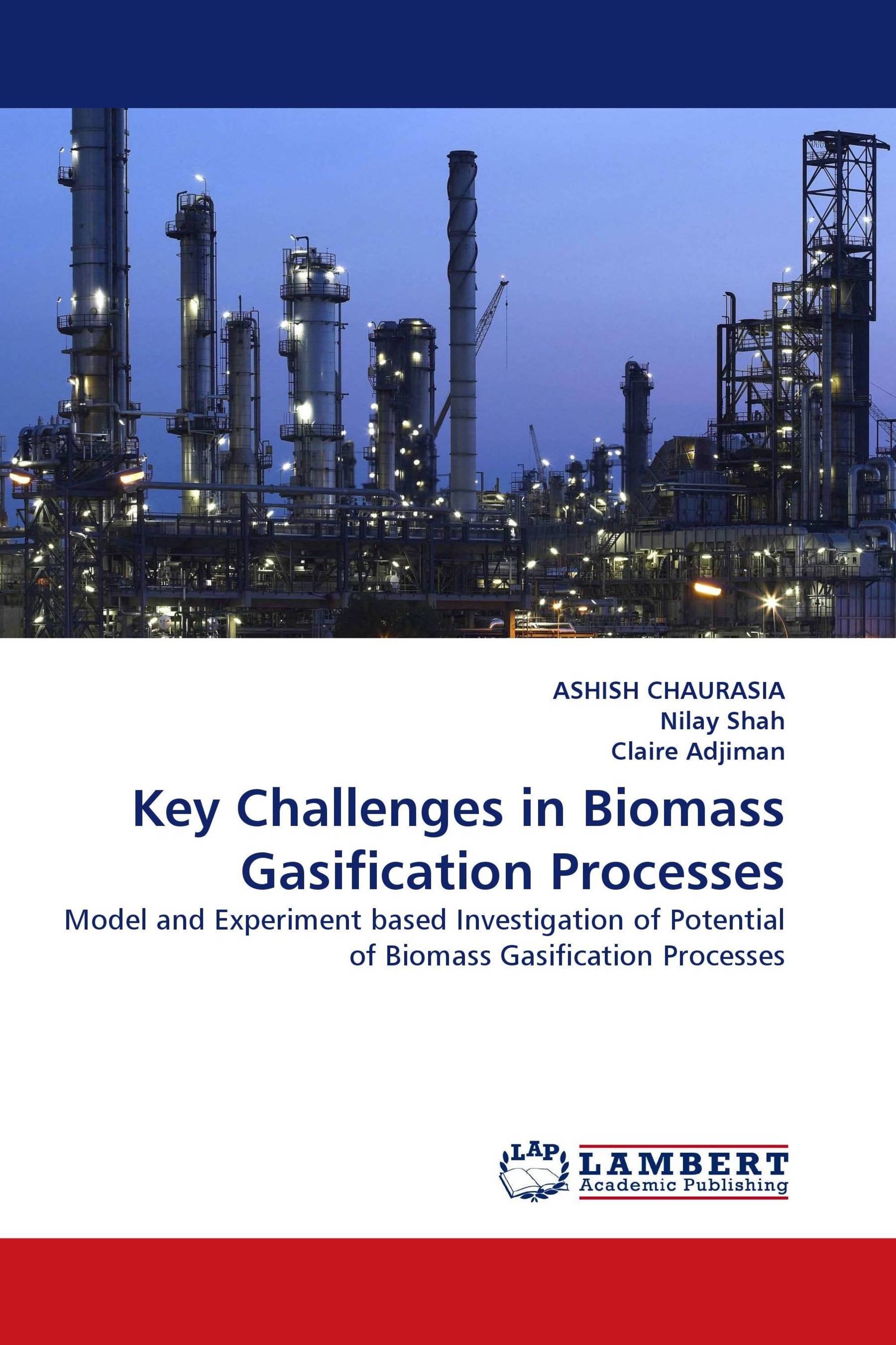 Key Challenges in Biomass Gasification Processes