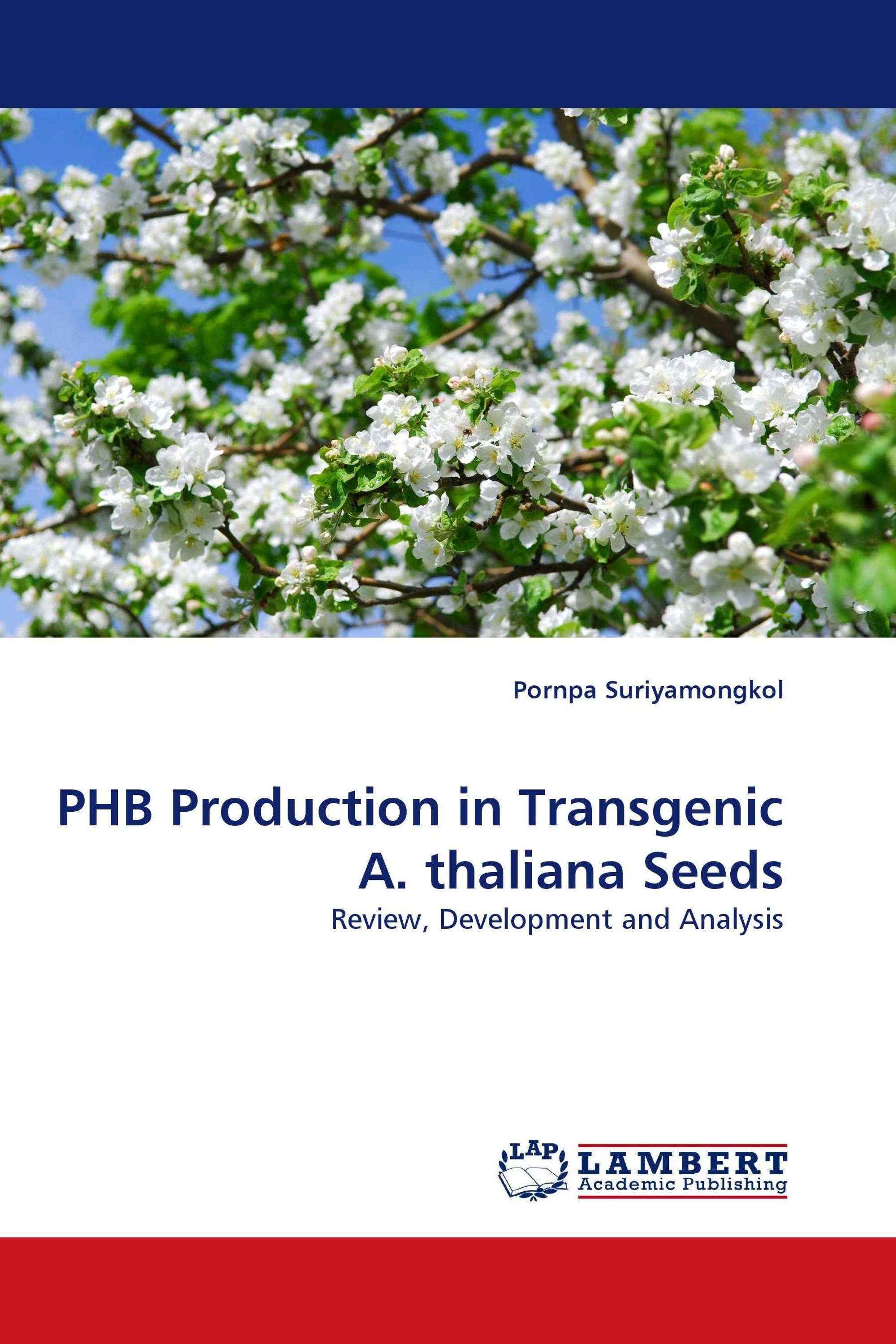 PHB Production in Transgenic A. thaliana Seeds