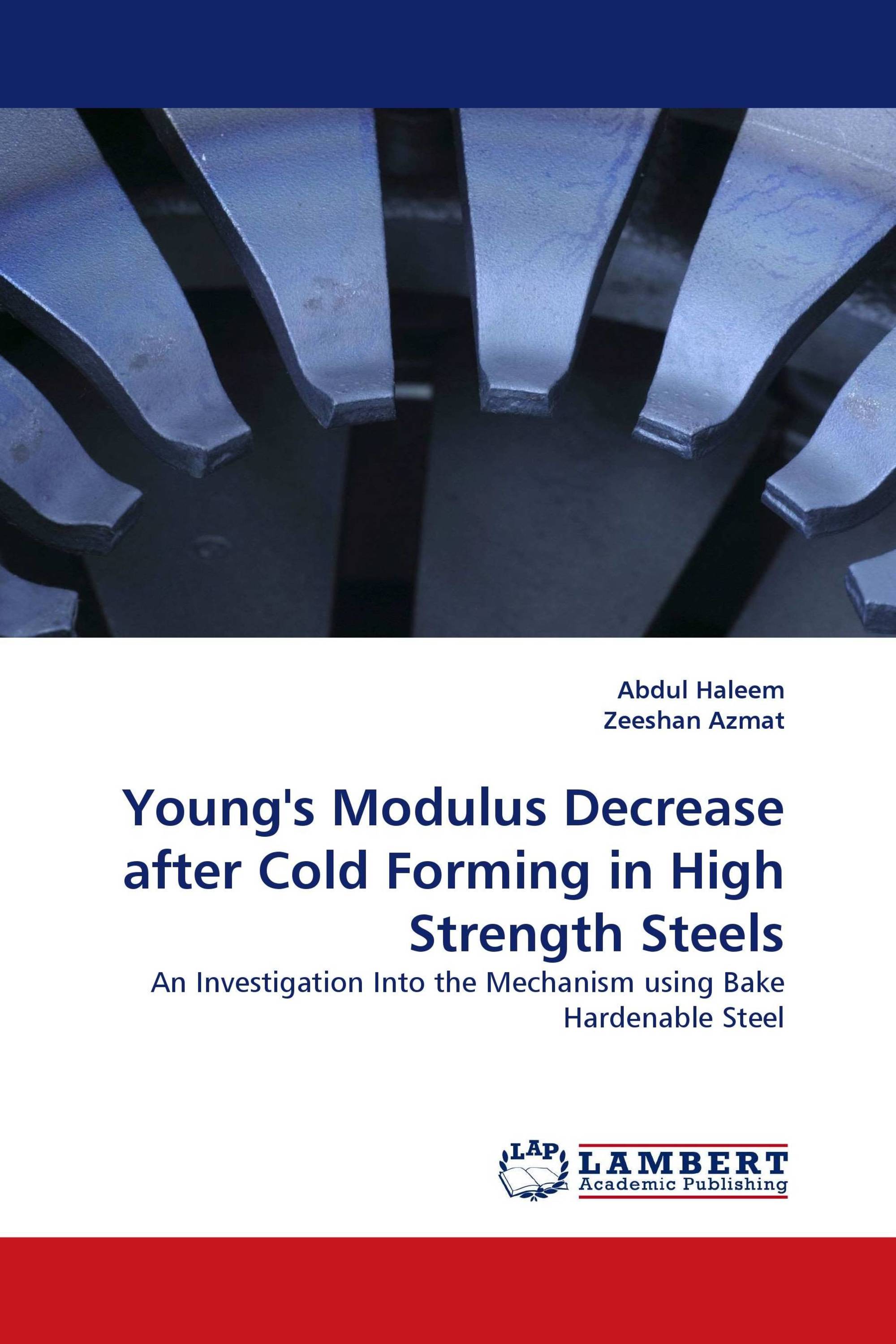 Young''s Modulus Decrease after Cold Forming in High Strength Steels