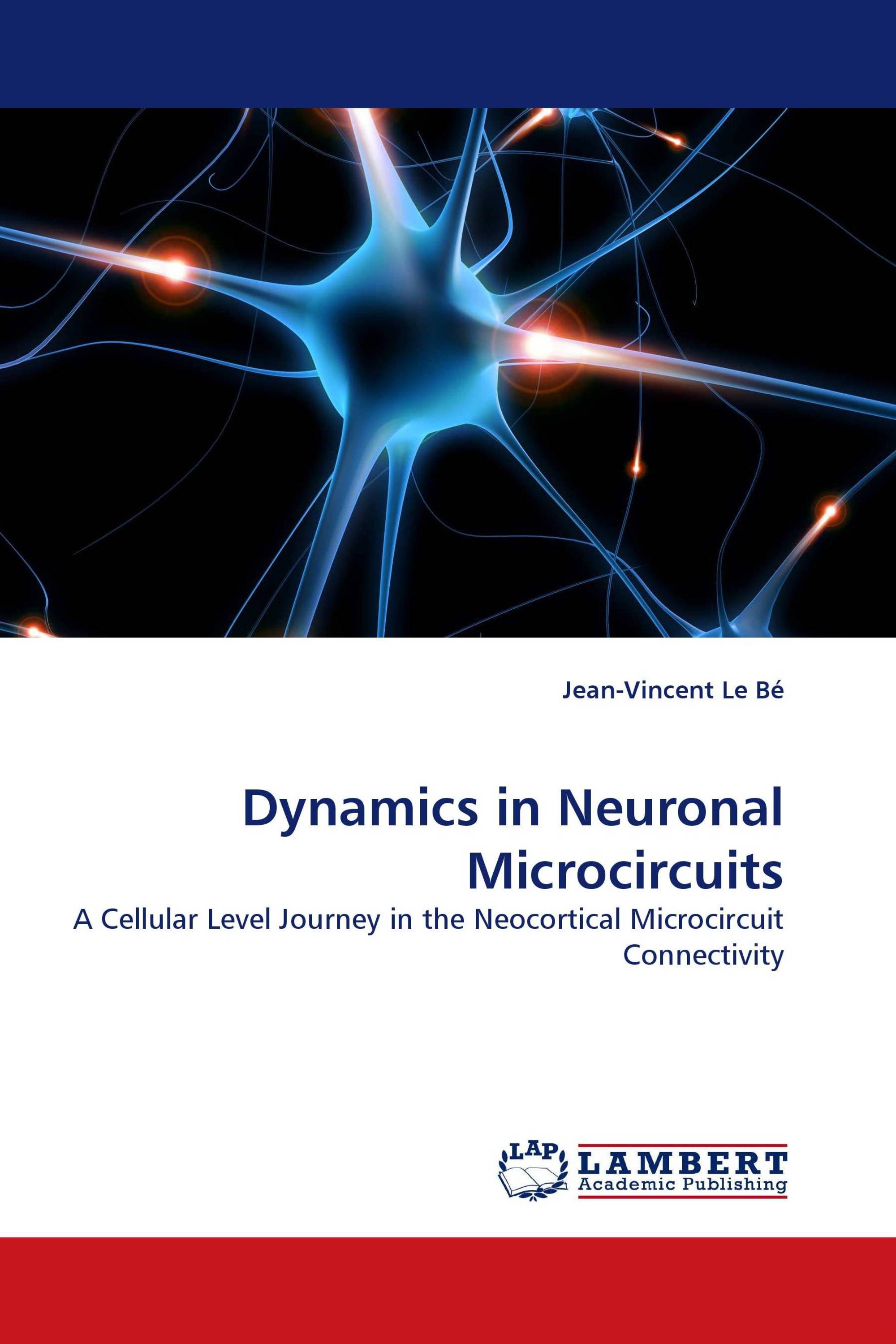 Dynamics in Neuronal Microcircuits