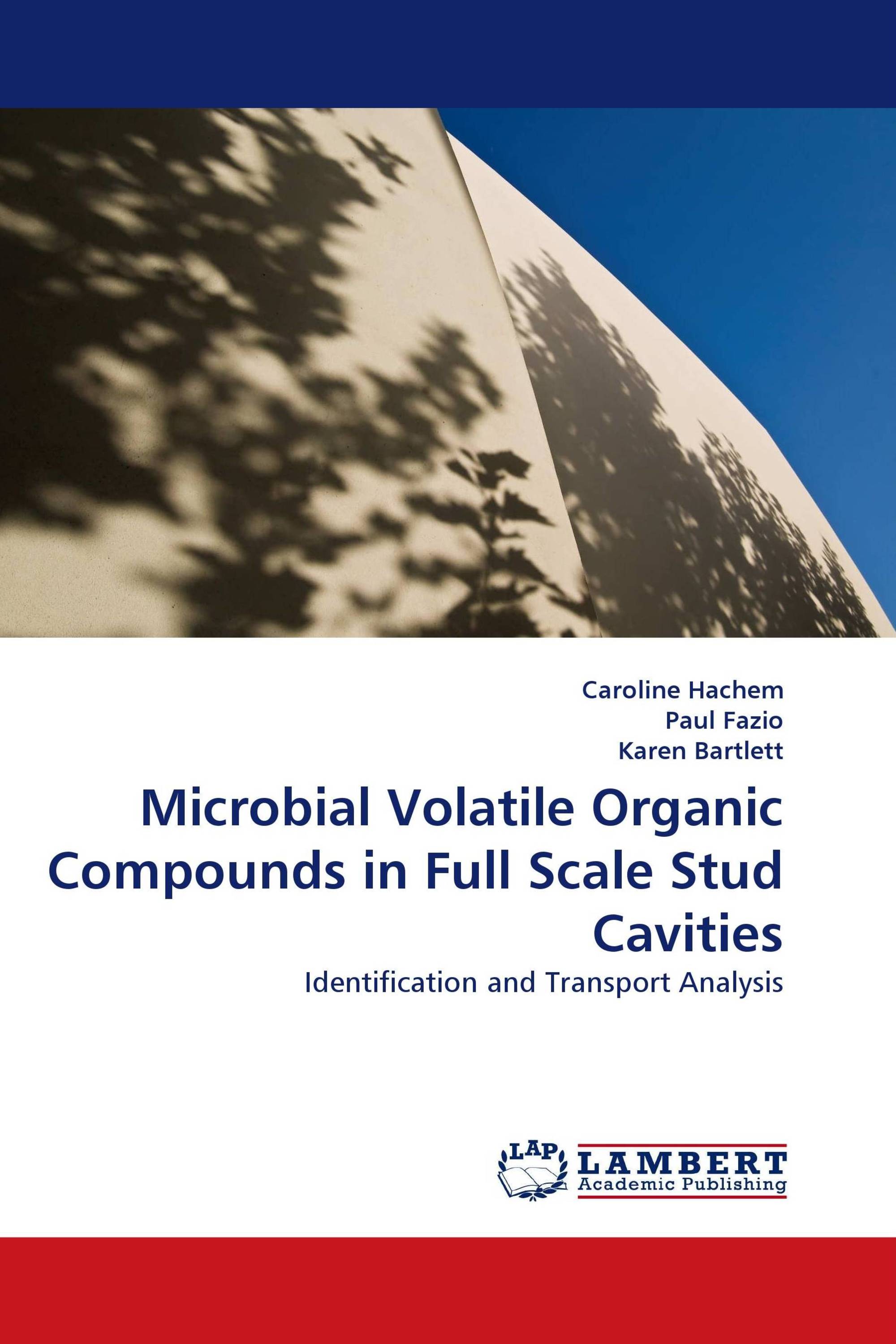 Microbial Volatile Organic Compounds in Full Scale Stud Cavities