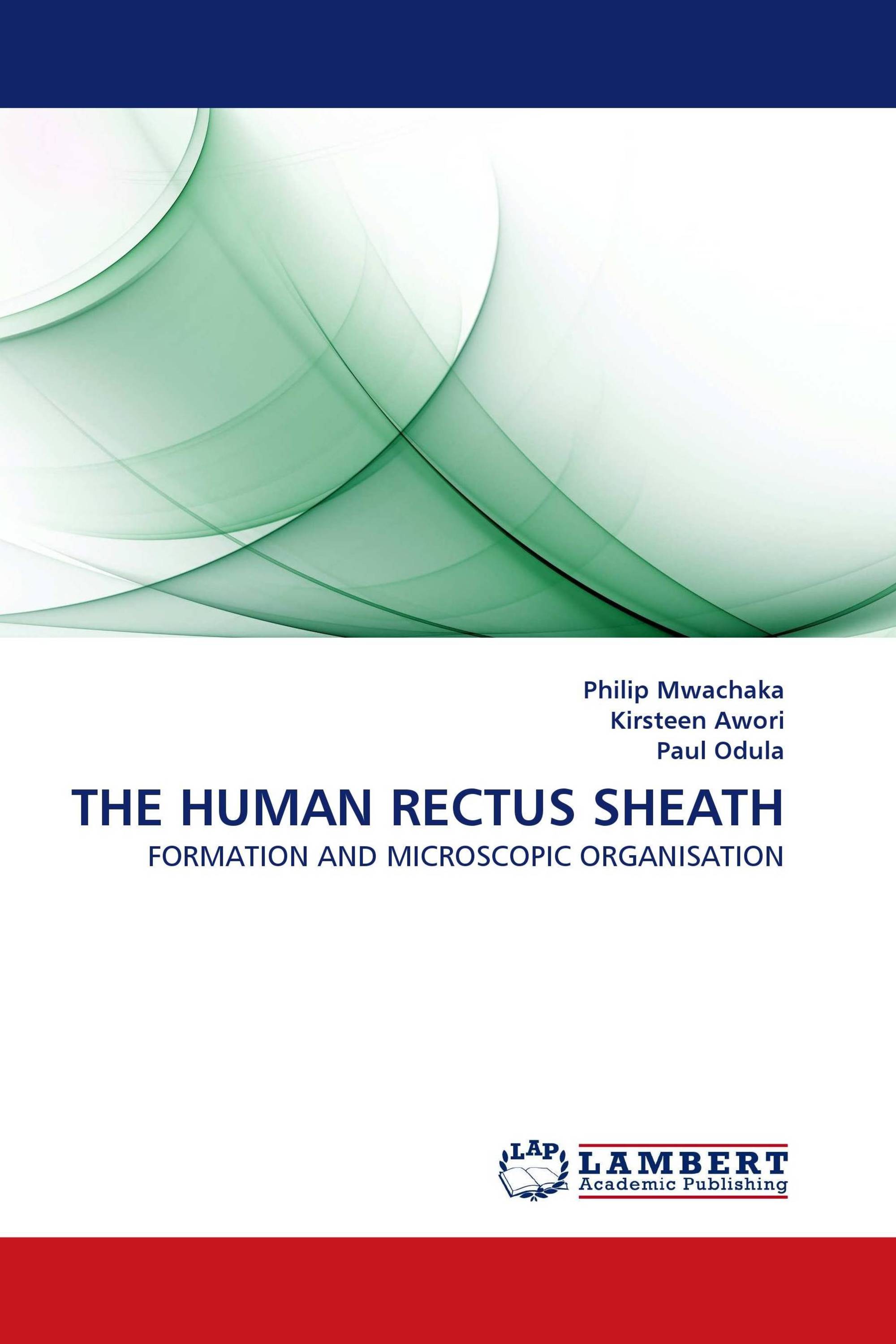 THE HUMAN RECTUS SHEATH