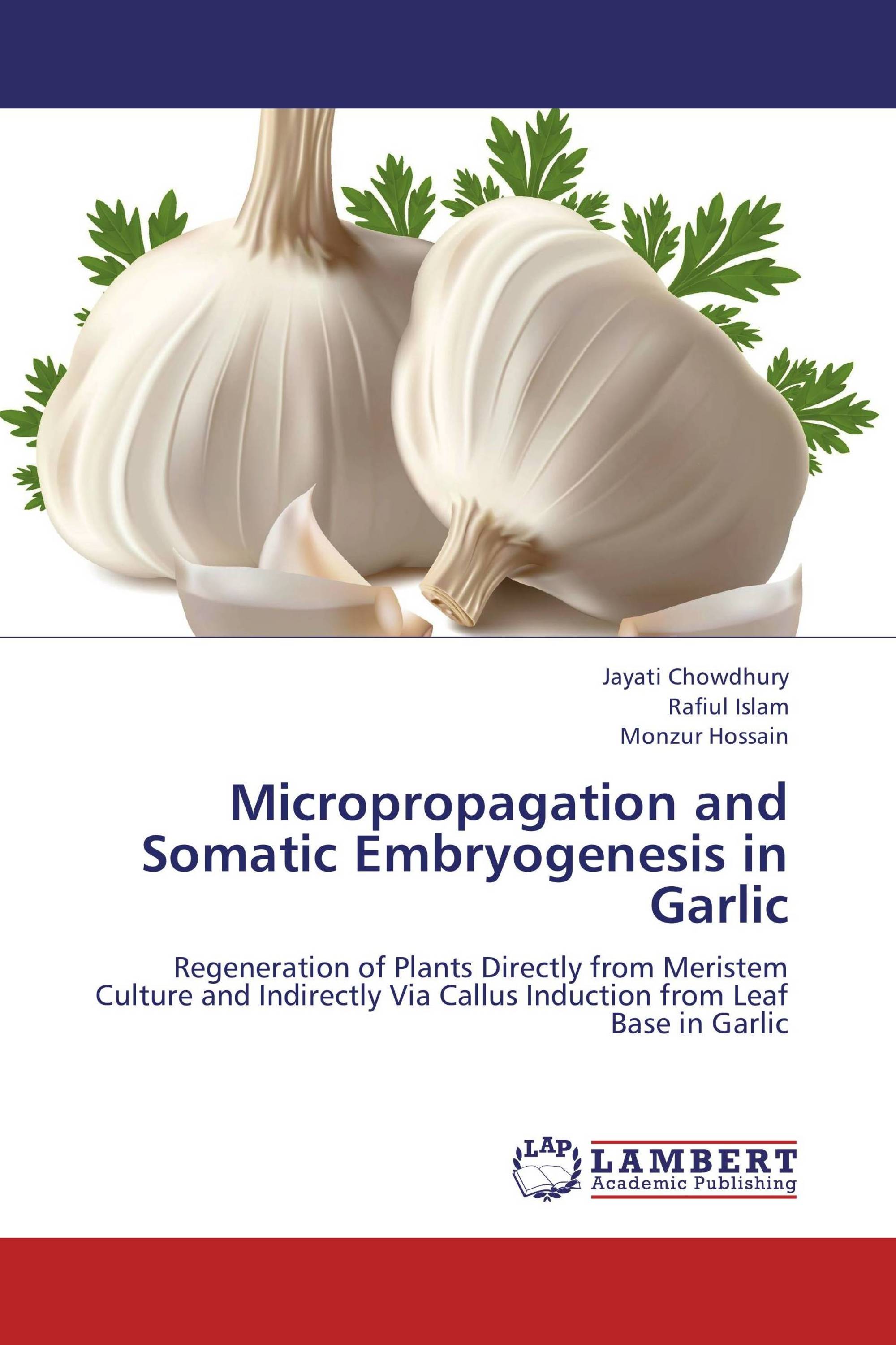 Micropropagation and Somatic Embryogenesis in Garlic