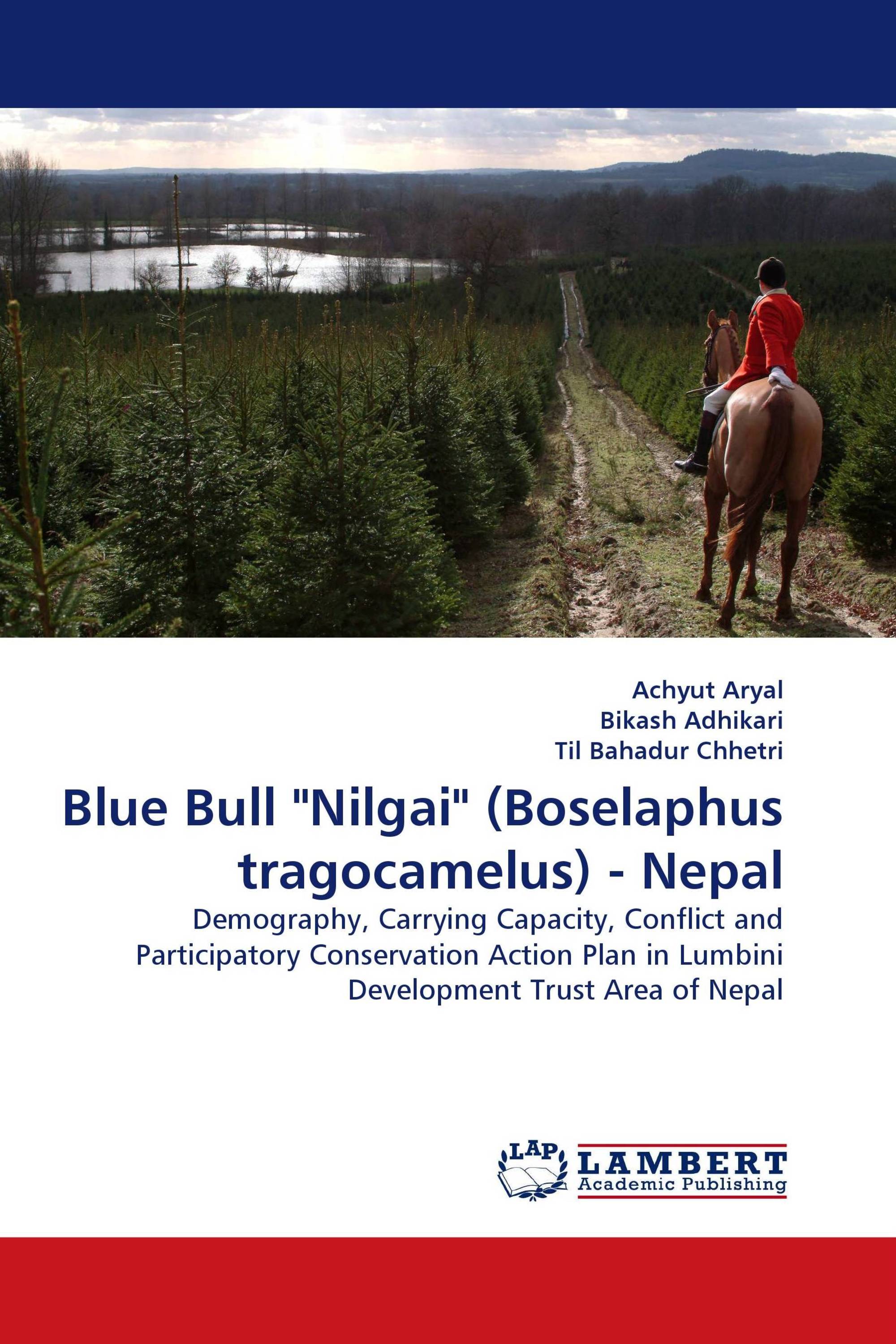 Blue Bull "Nilgai" (Boselaphus tragocamelus) - Nepal