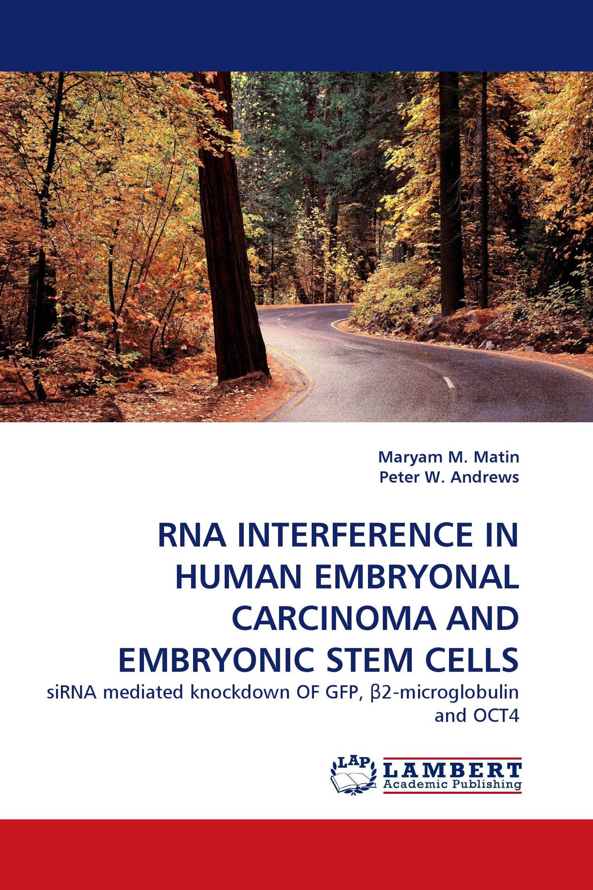 RNA INTERFERENCE IN HUMAN EMBRYONAL CARCINOMA AND EMBRYONIC STEM CELLS