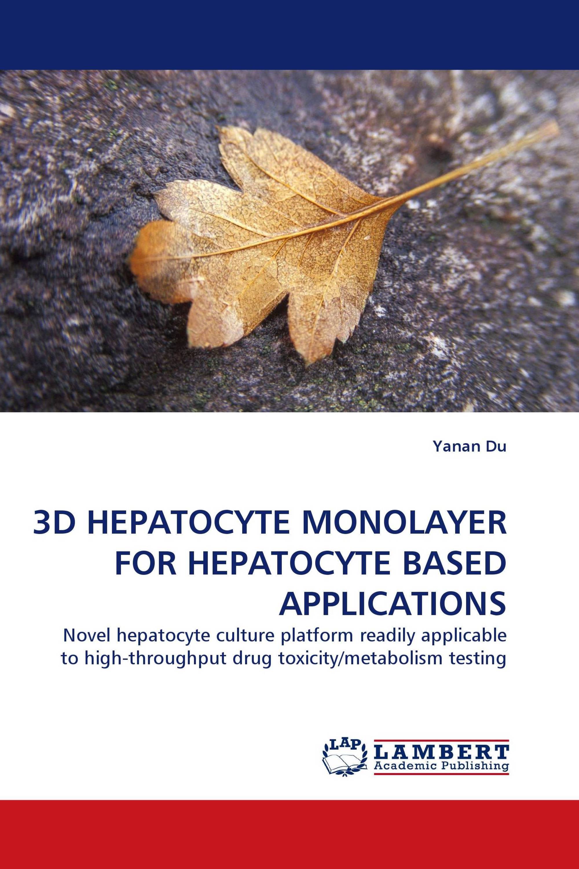 3D HEPATOCYTE MONOLAYER FOR HEPATOCYTE BASED APPLICATIONS