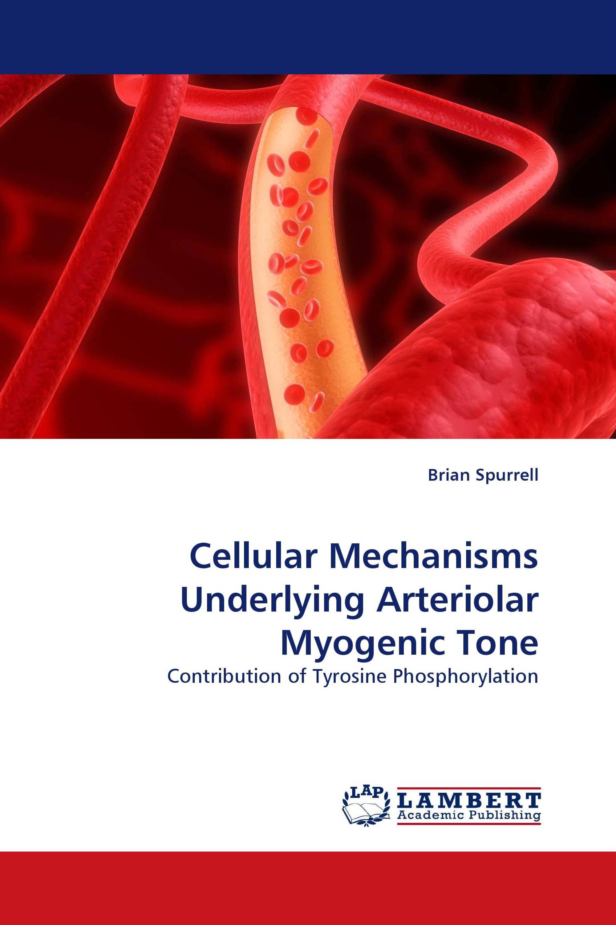 Cellular Mechanisms Underlying Arteriolar Myogenic Tone