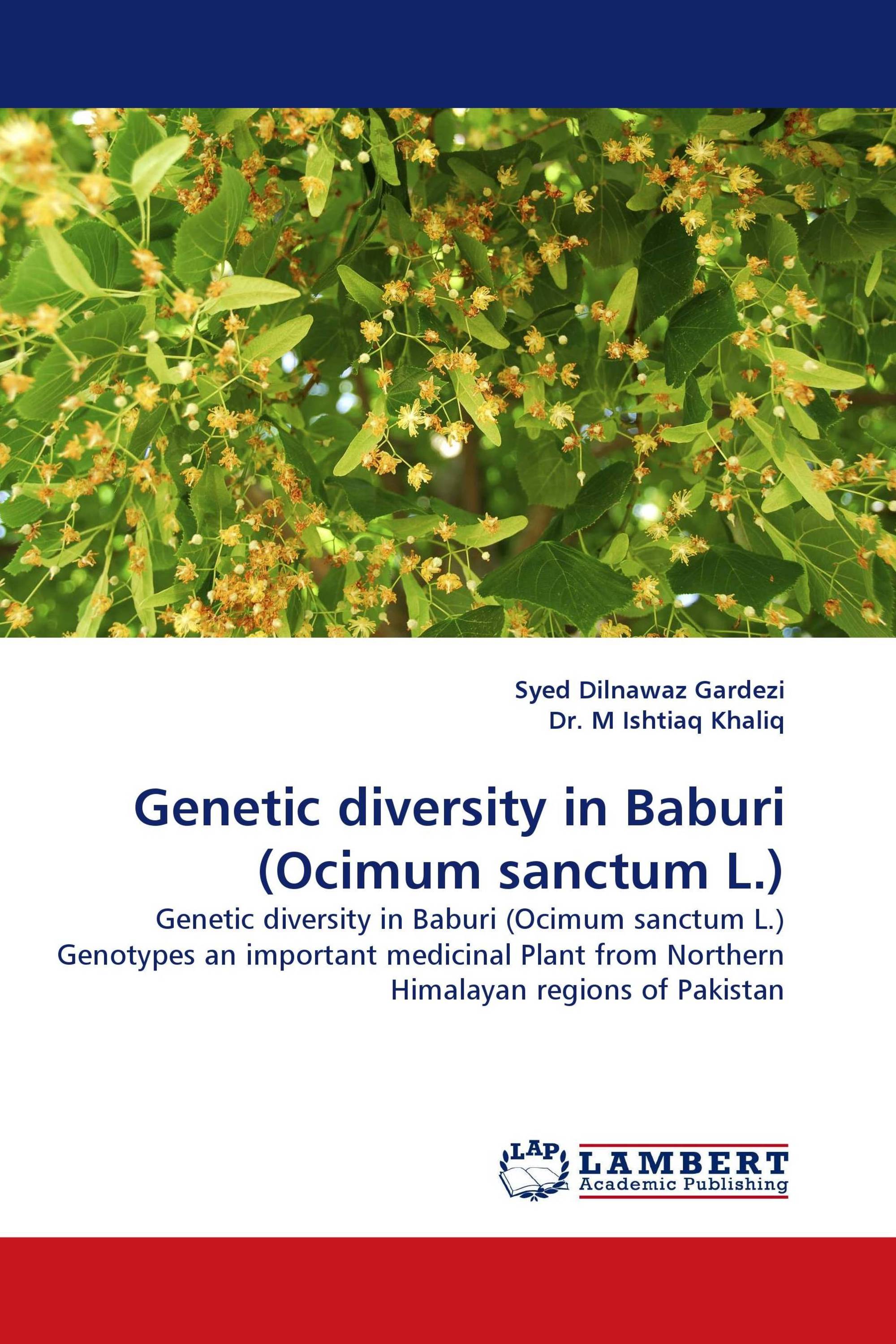 Genetic diversity in Baburi (Ocimum sanctum L.)