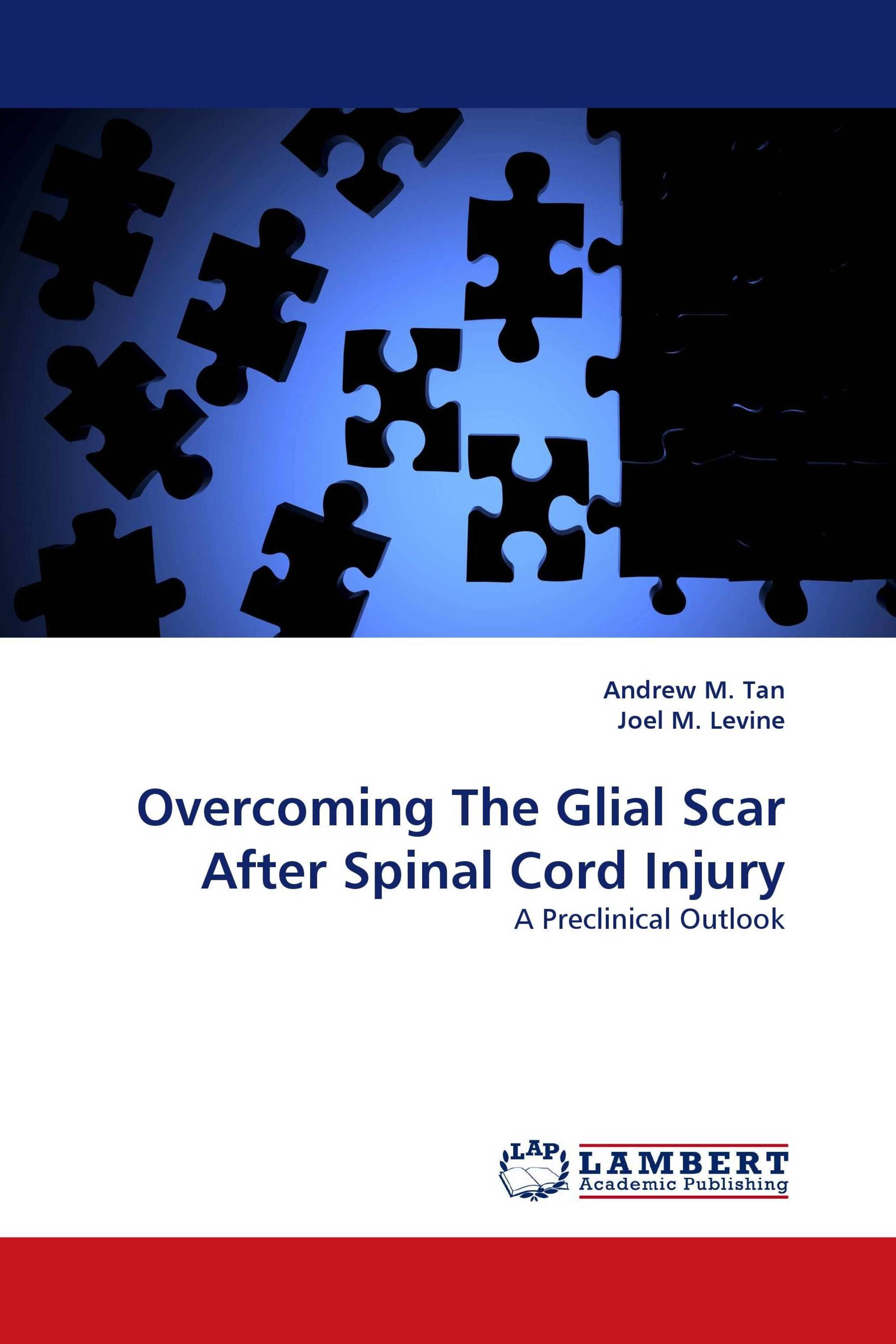 Overcoming The Glial Scar After Spinal Cord Injury