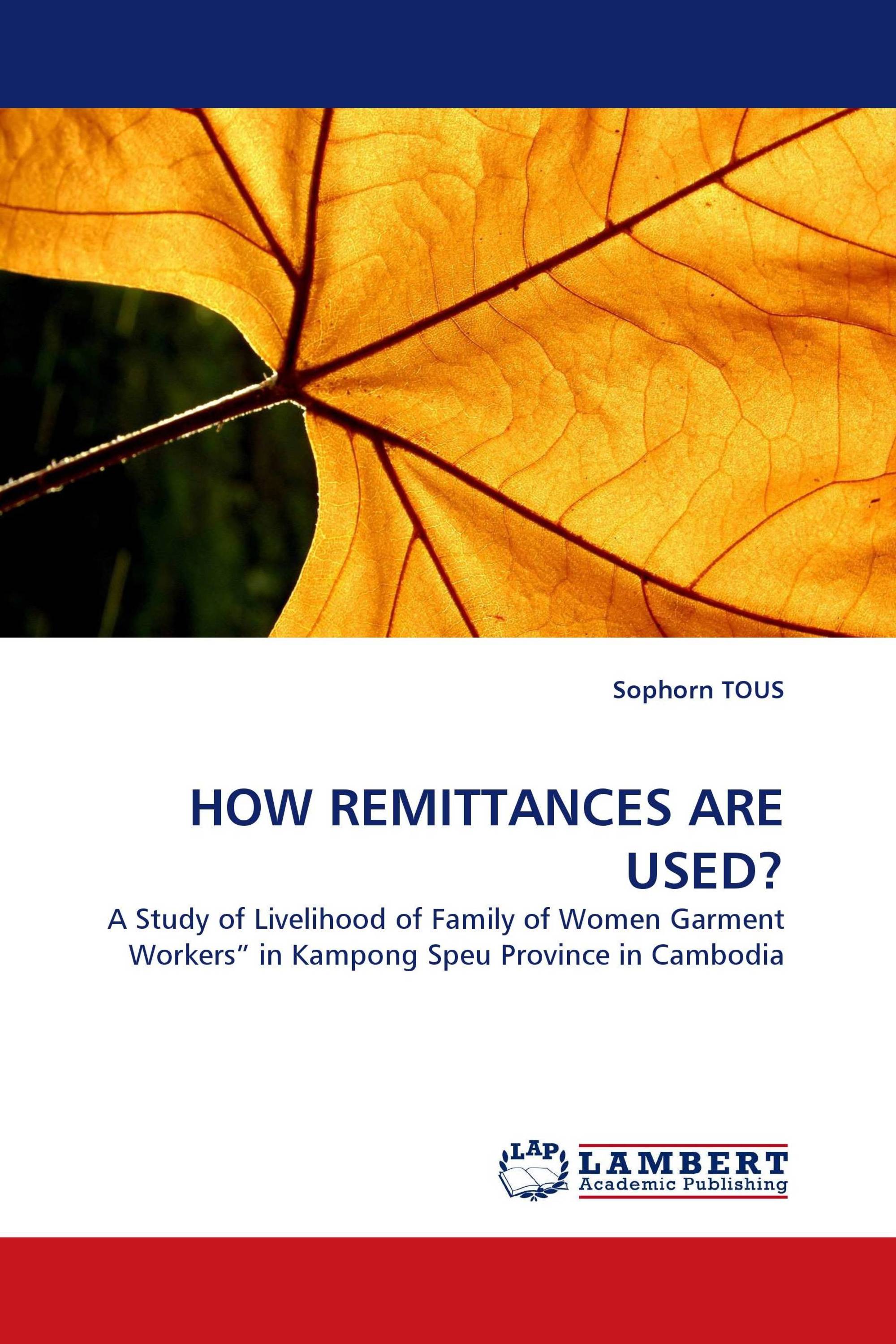 HOW REMITTANCES ARE USED?