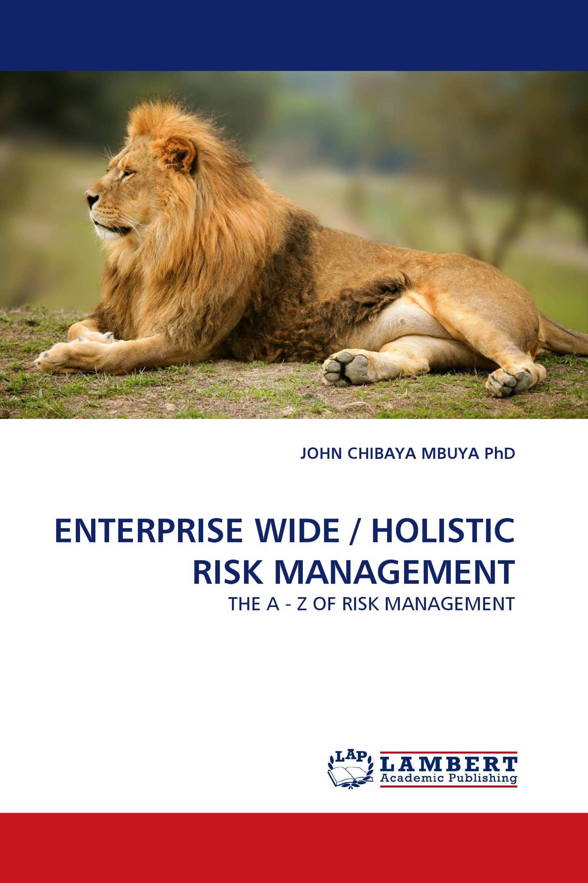 ENTERPRISE WIDE / HOLISTIC RISK MANAGEMENT