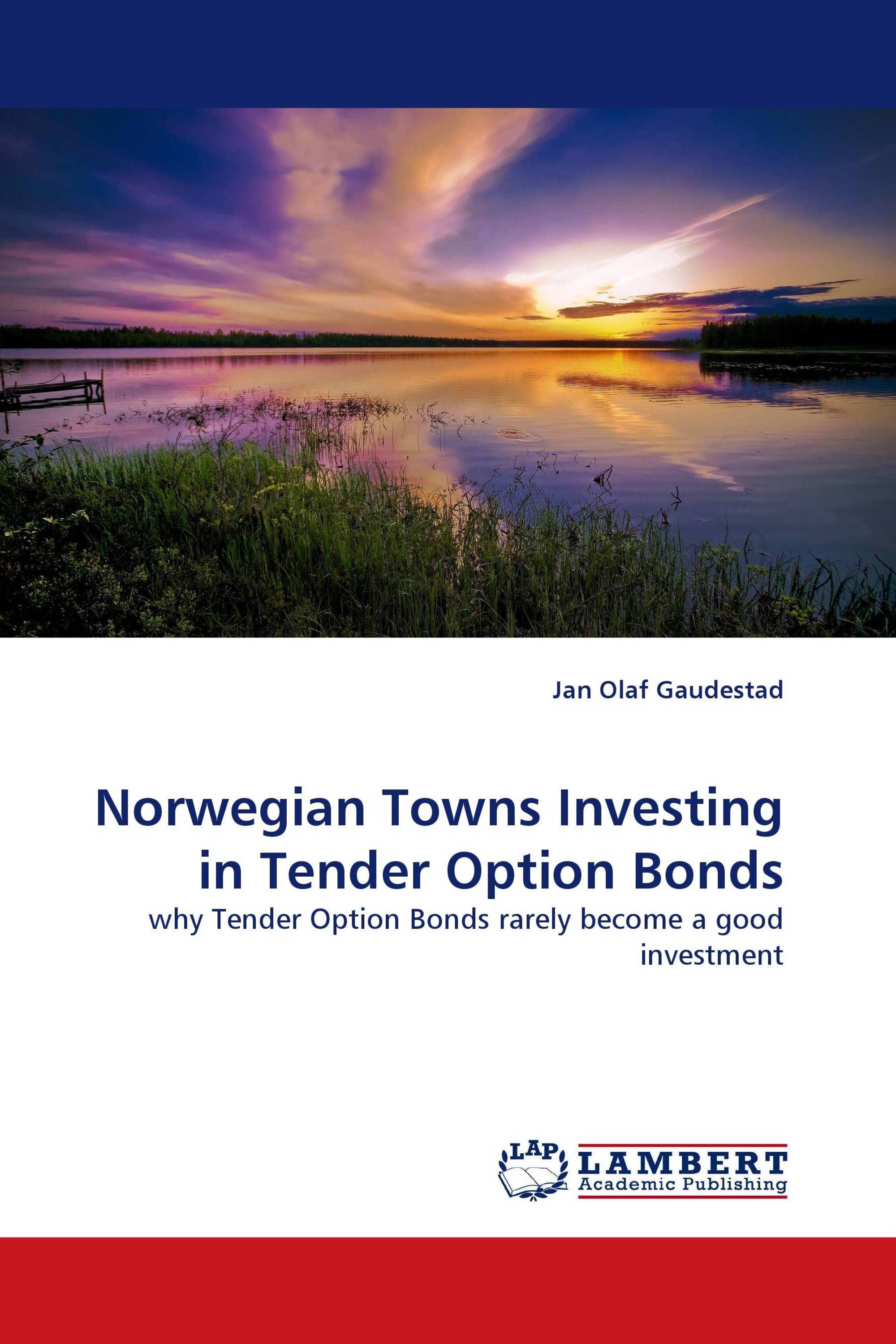 Norwegian Towns Investing in Tender Option Bonds