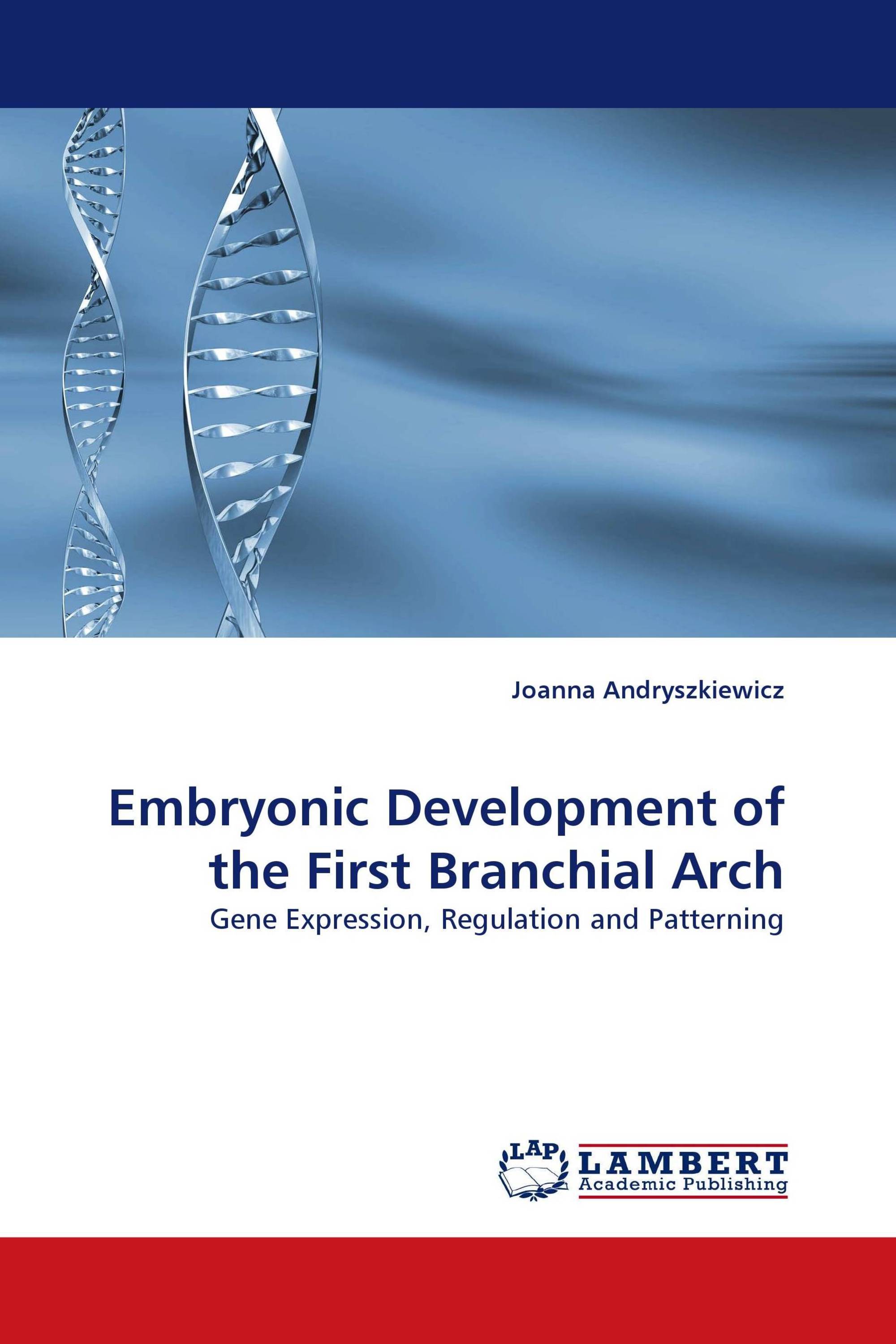 Embryonic Development of the First Branchial Arch