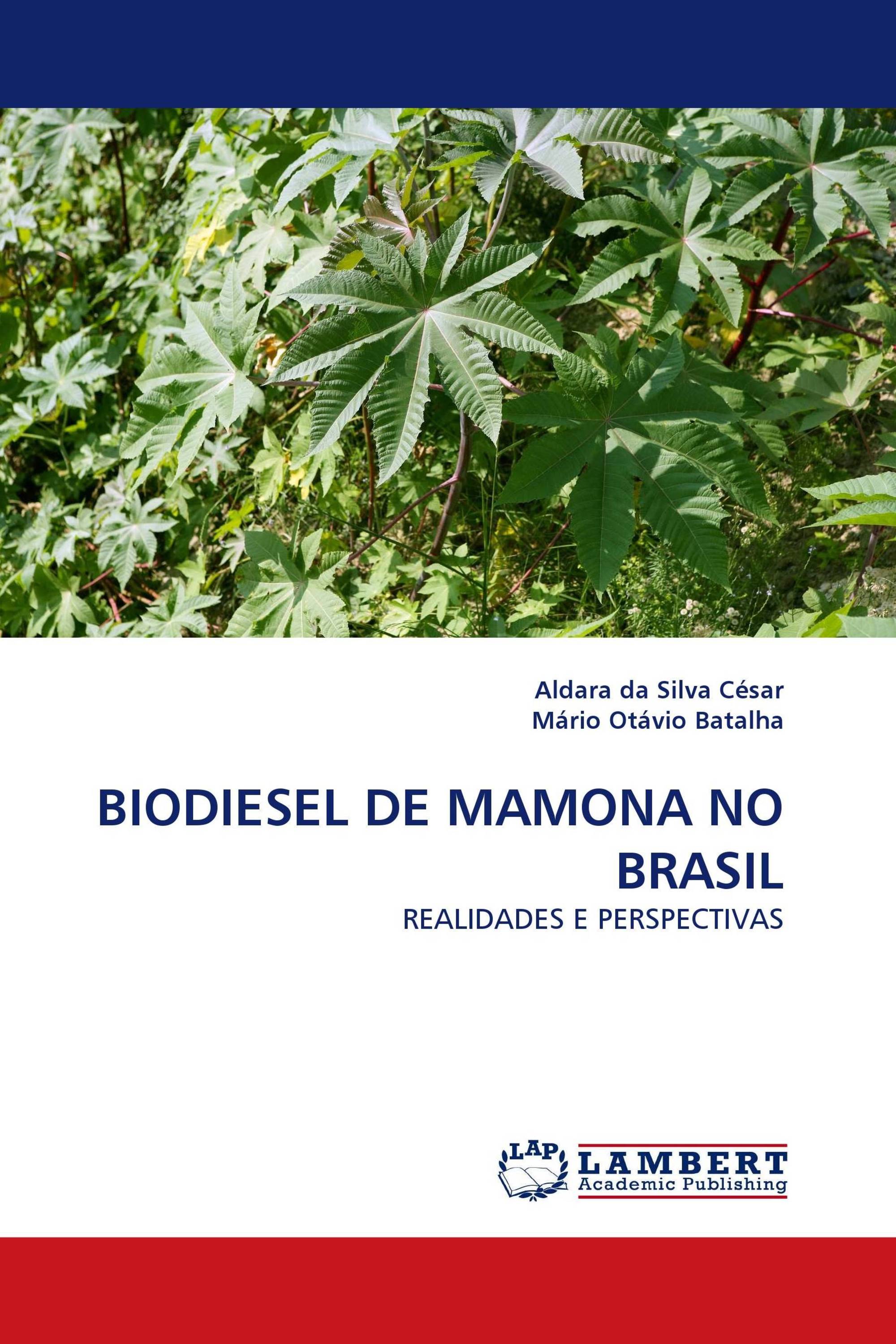 BIODIESEL DE MAMONA NO BRASIL