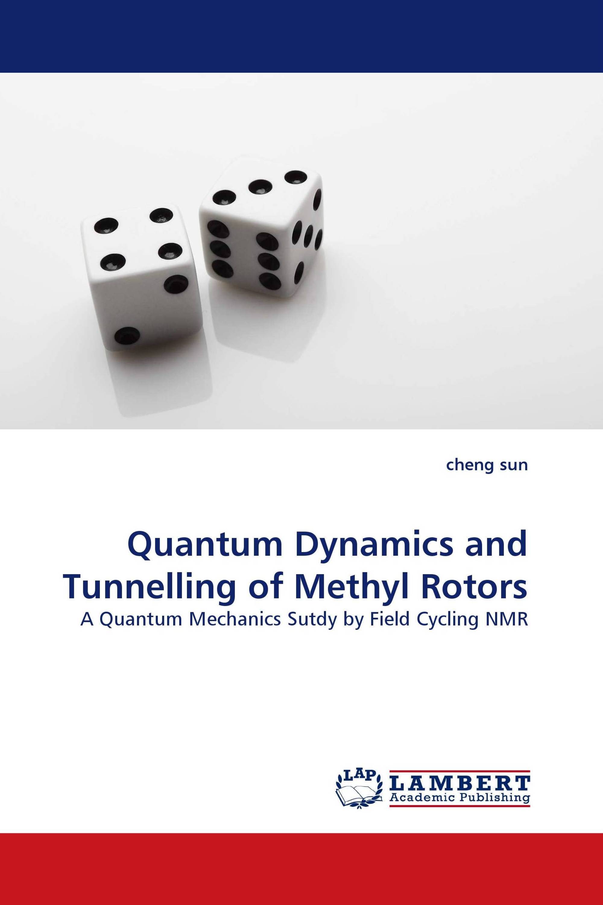 Quantum Dynamics and Tunnelling of Methyl Rotors